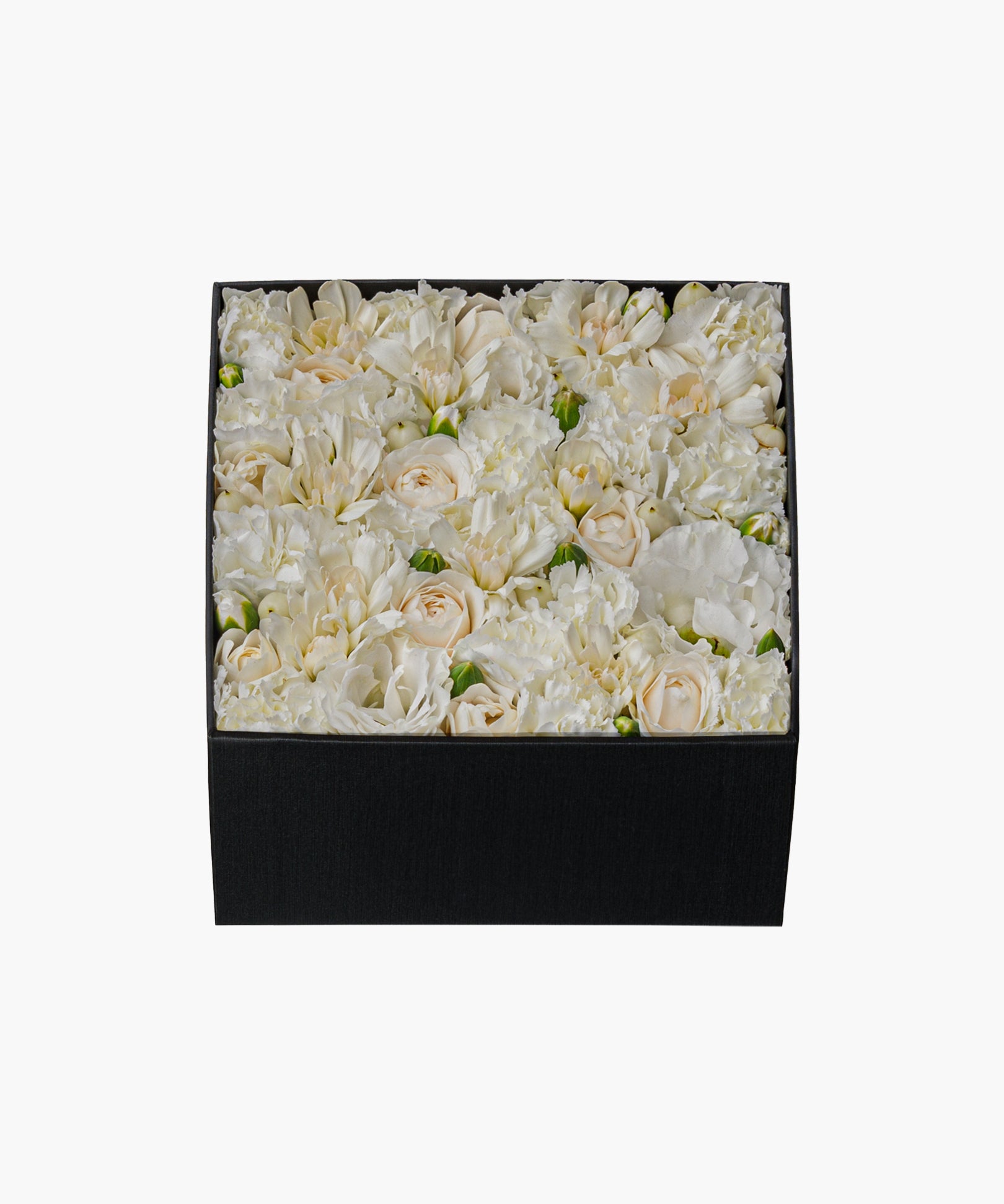 Classic Beauty (クラシック ビューティー)