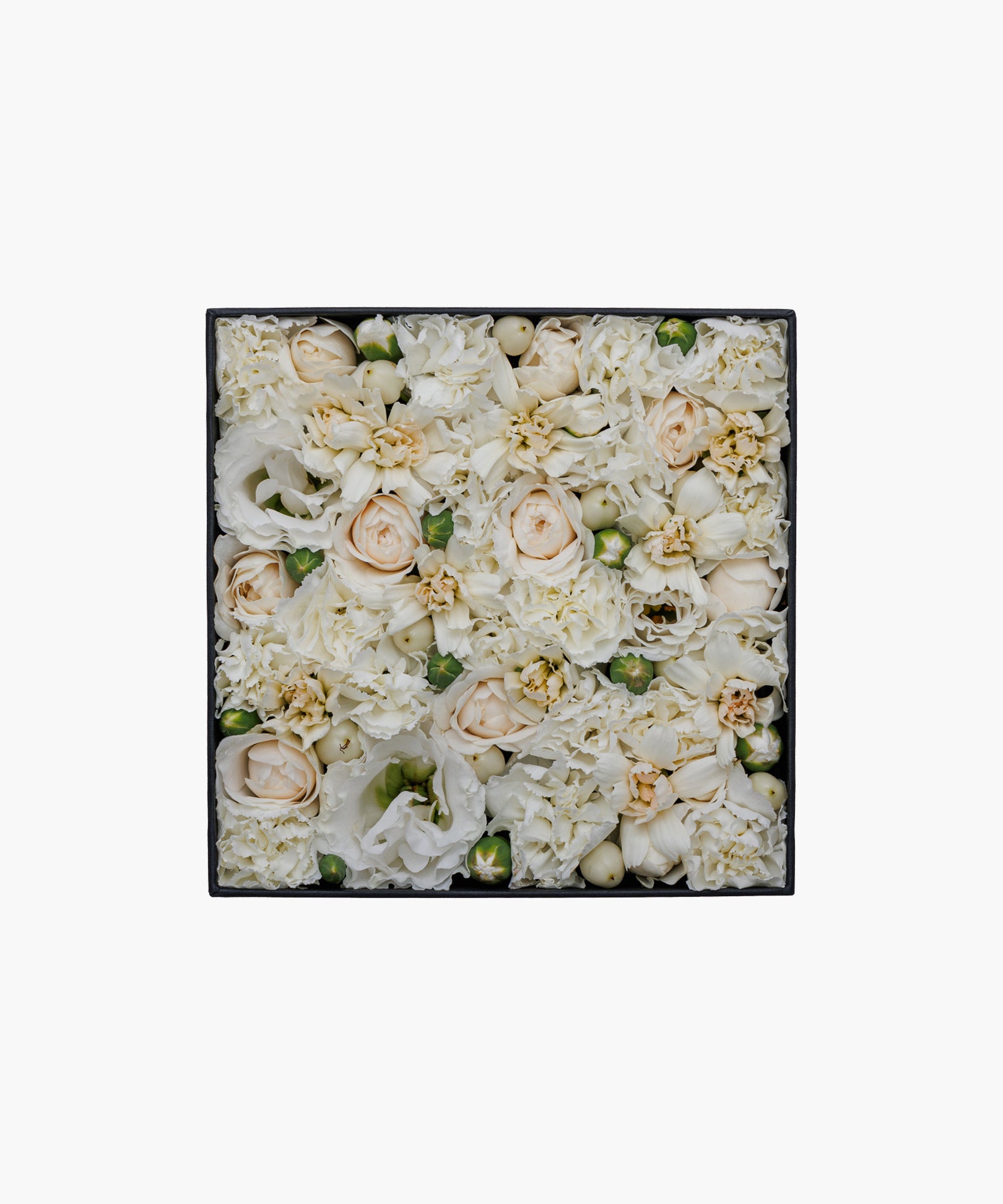 Classic Beauty (クラシック ビューティー)