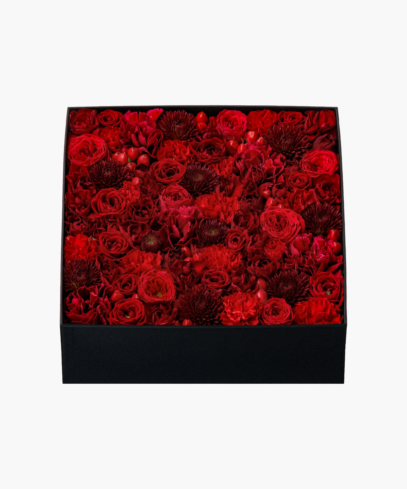 Marilyn (マリリン)