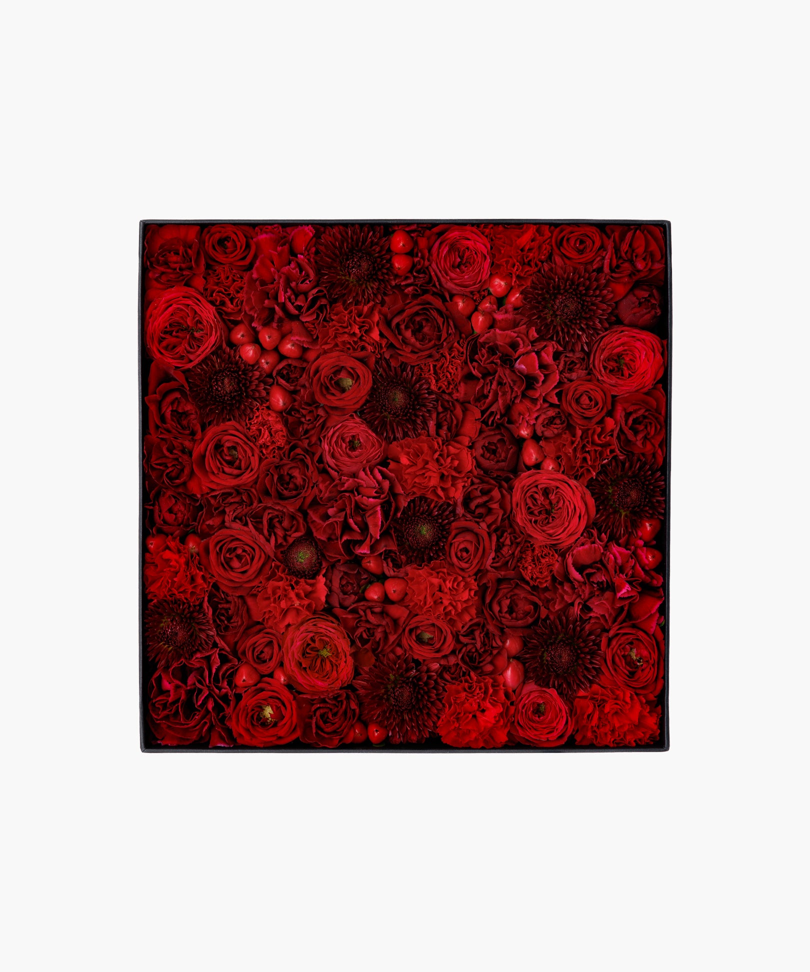 Marilyn (マリリン)