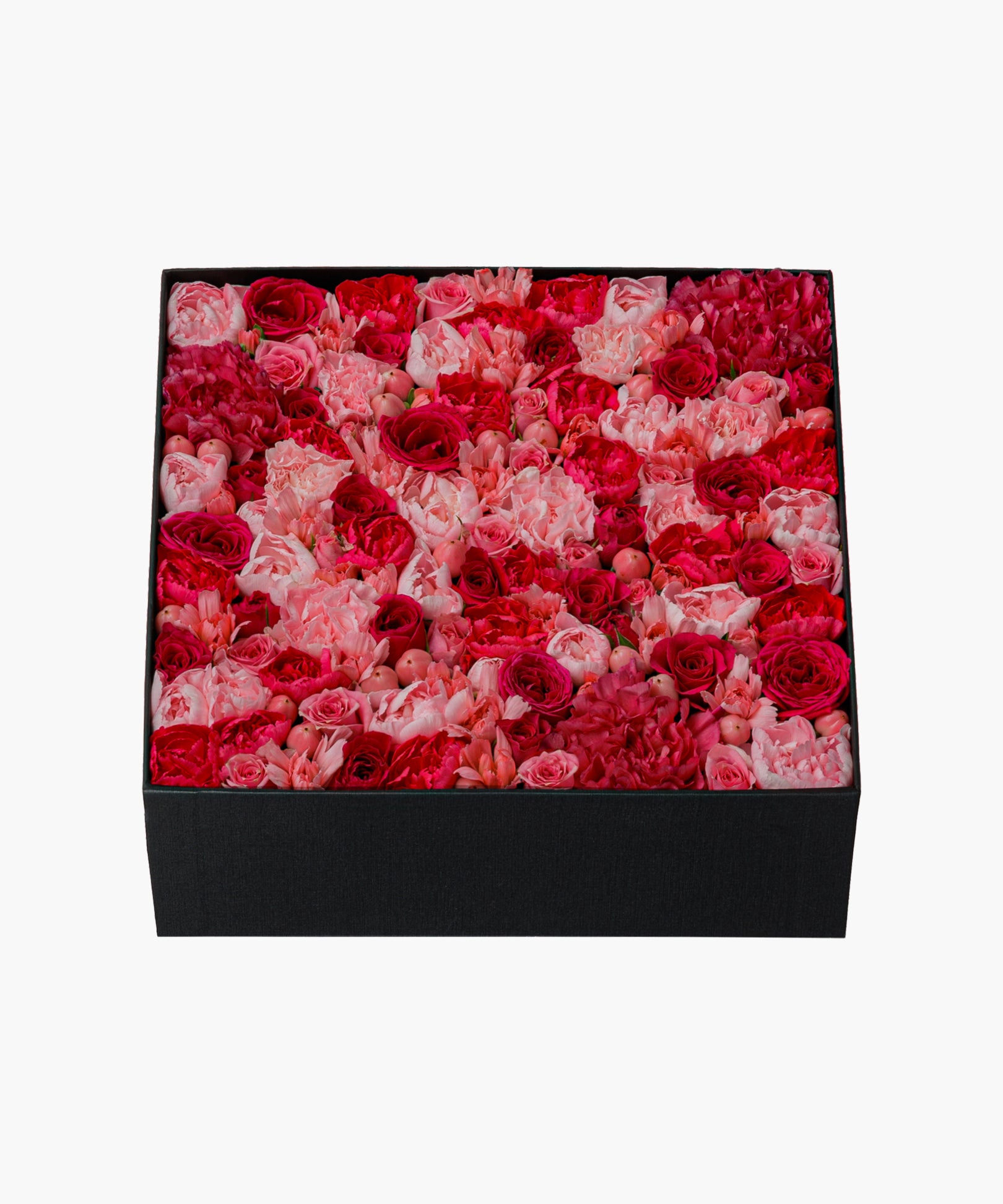 Pink Darling (ピンク ダーリン)