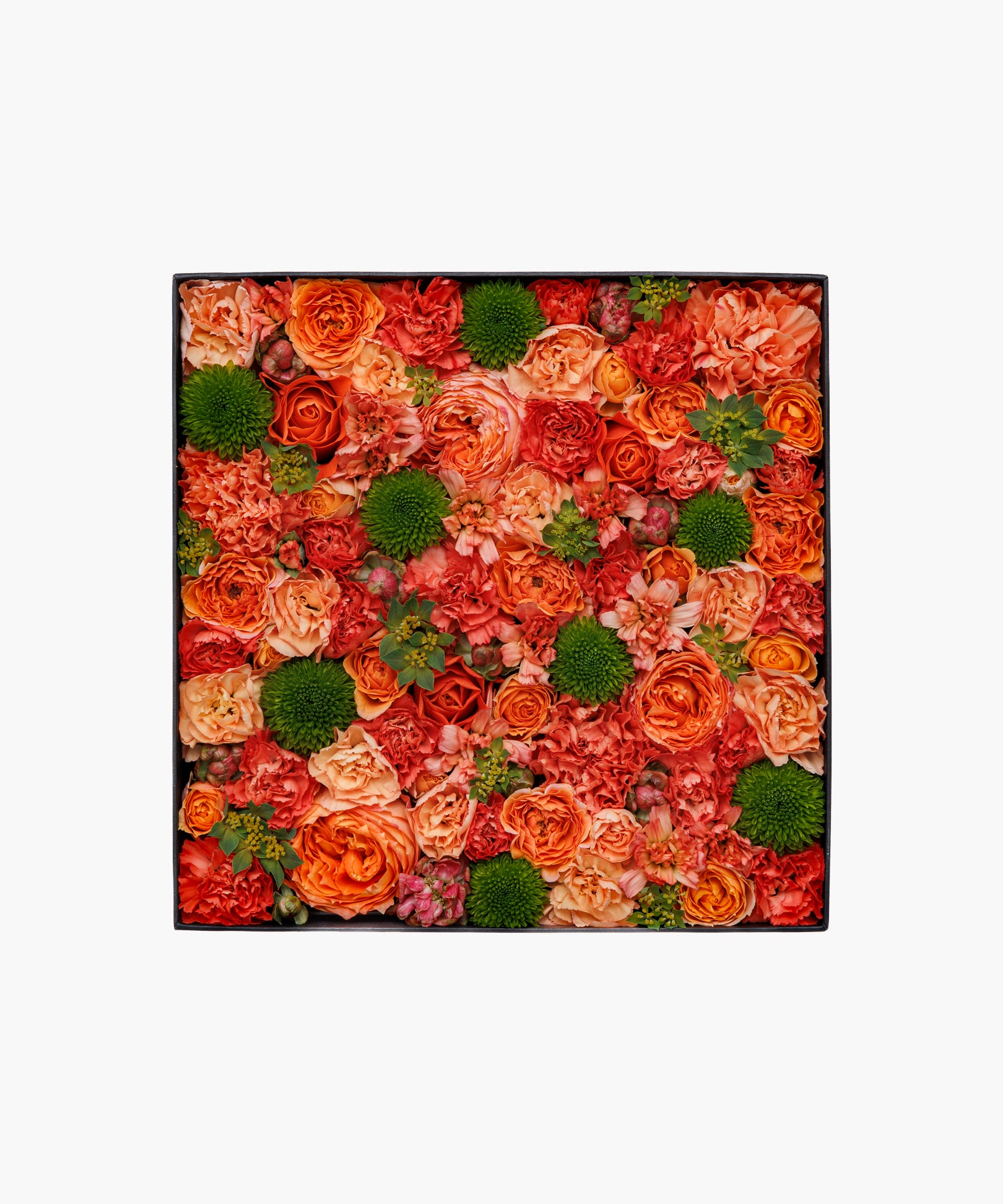 Sunny Scent (サニー セント)