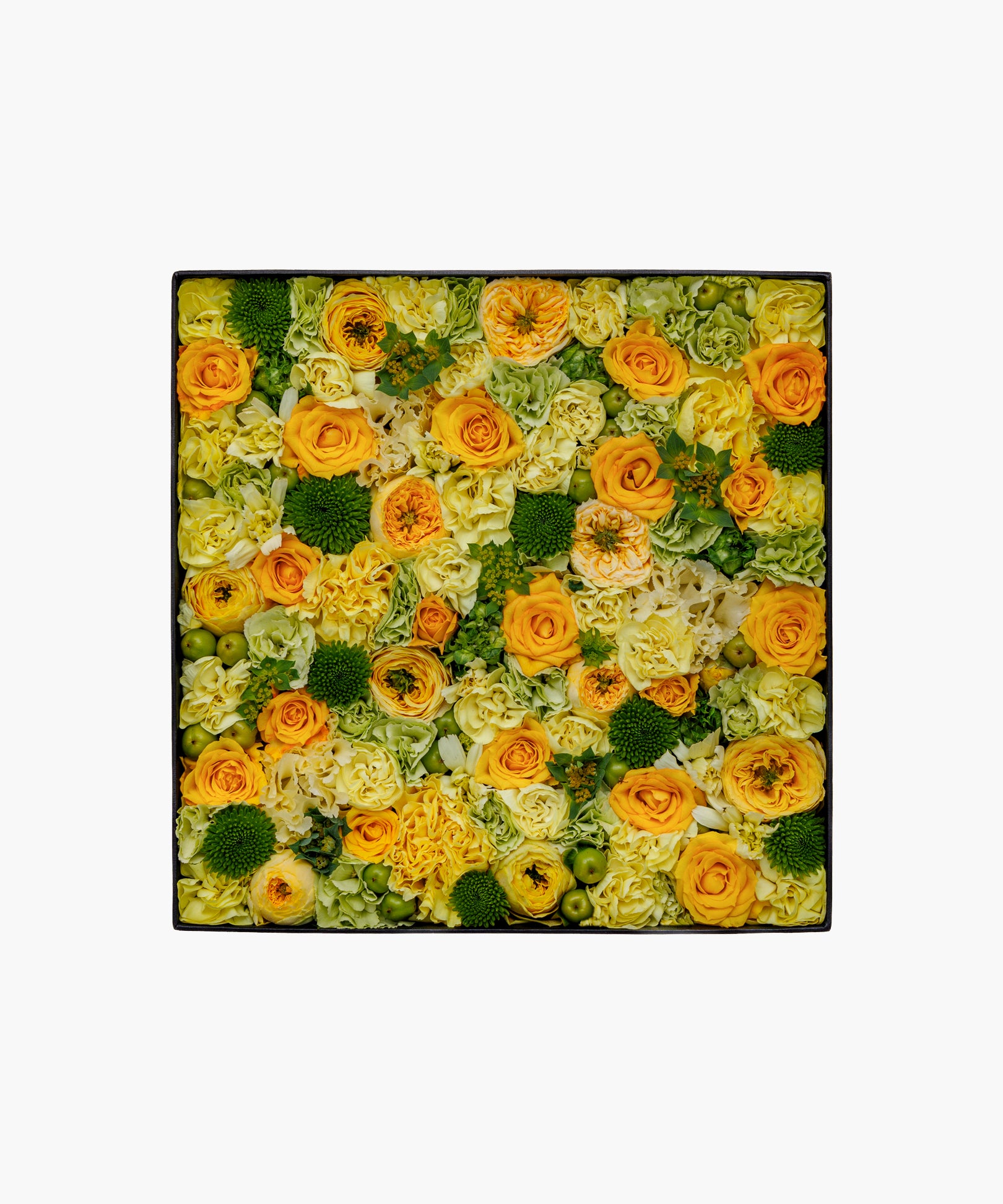 Yellow Breeze (イエロー ブリーズ)