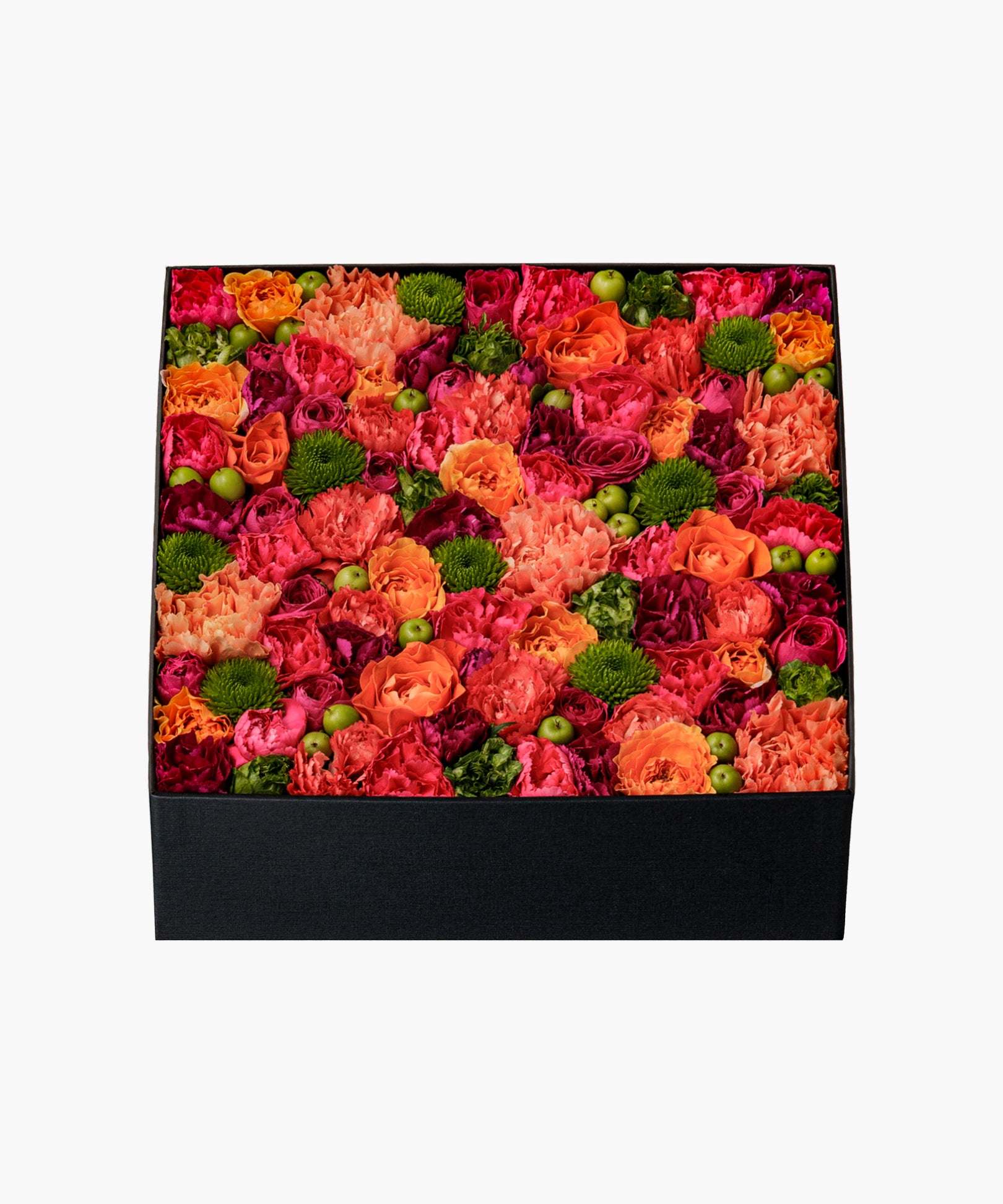 Vibrant Vibes (バイブラント バイブス)