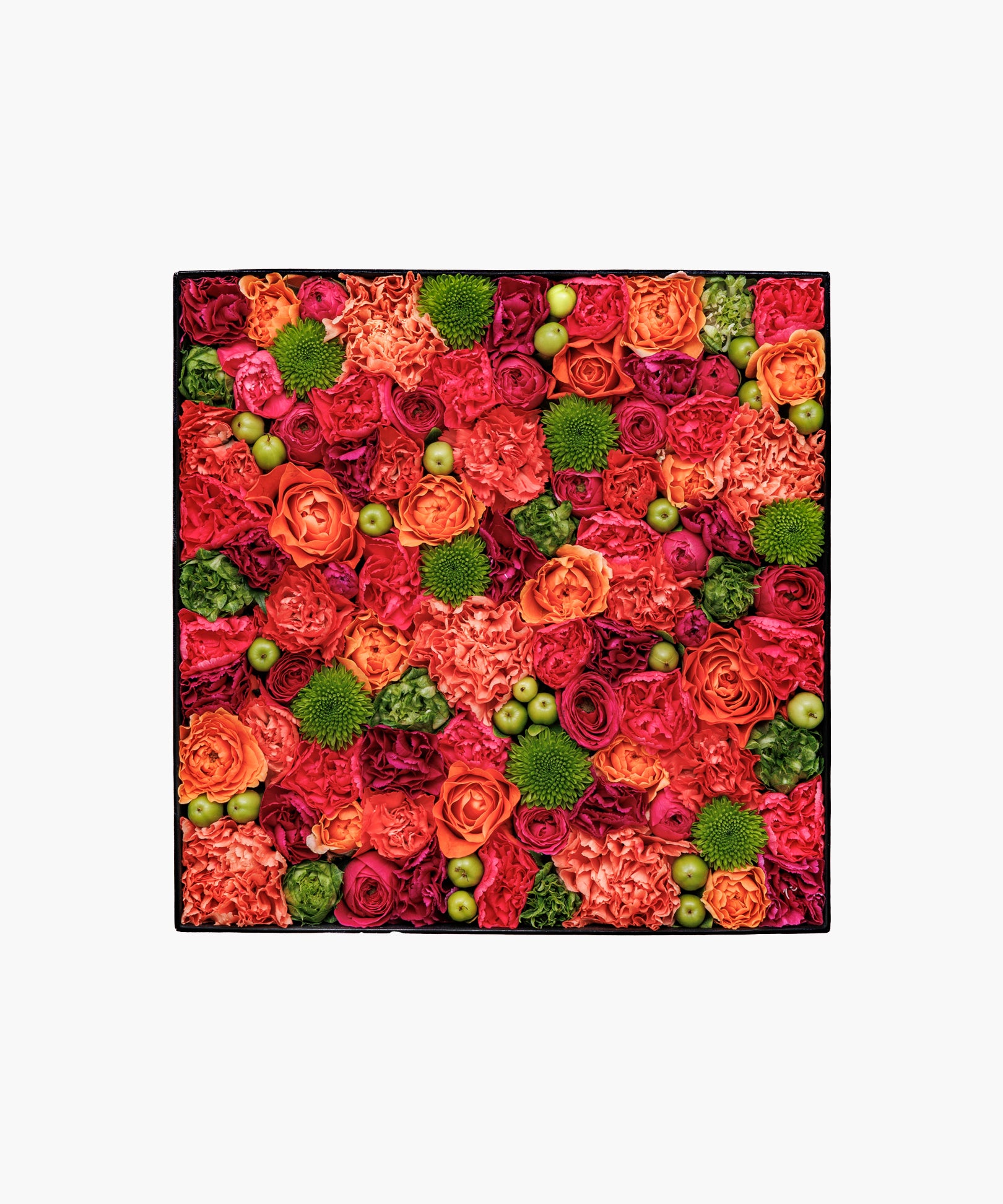 Vibrant Vibes (バイブラント バイブス)