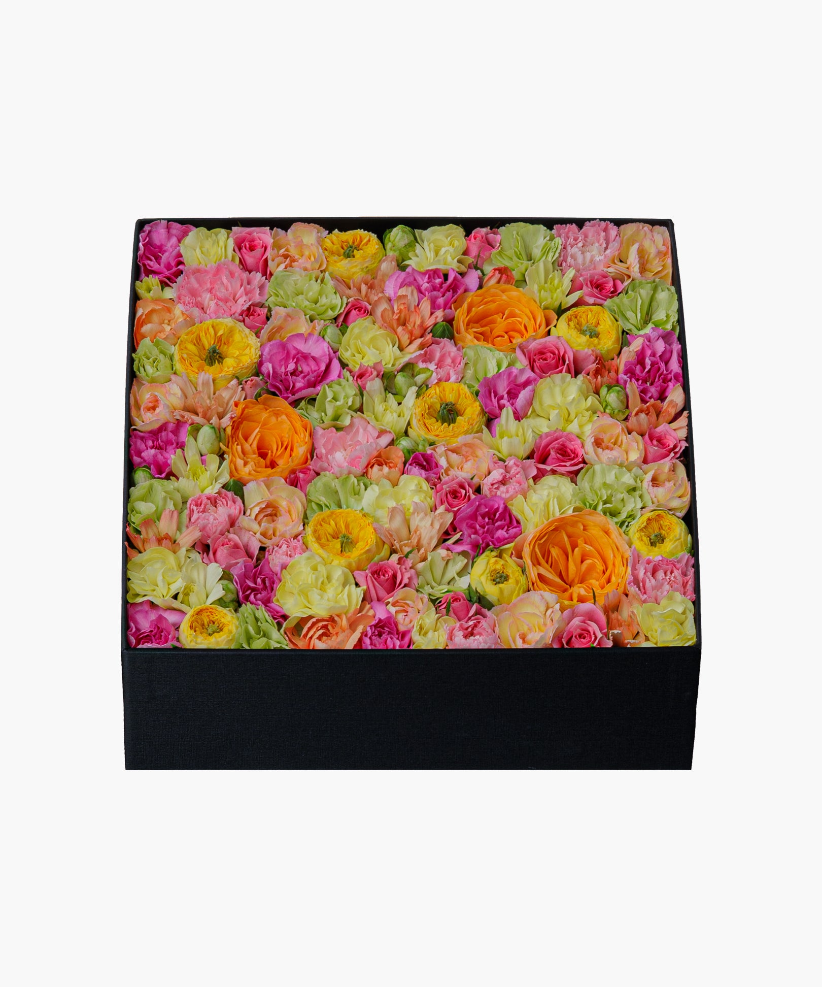 Colorful Journey (カラフル ジャーニー)