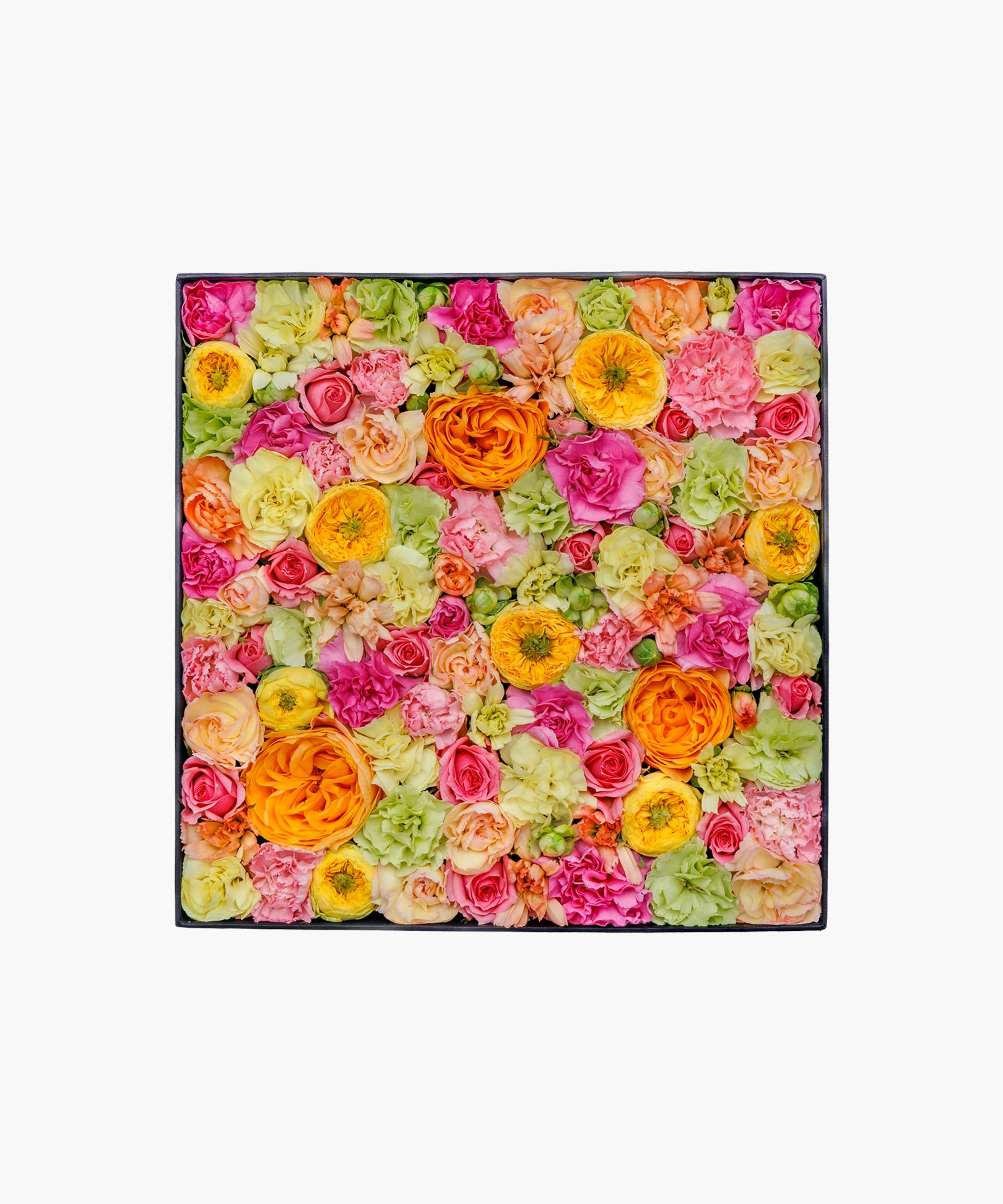 Colorful Journey (カラフル ジャーニー)