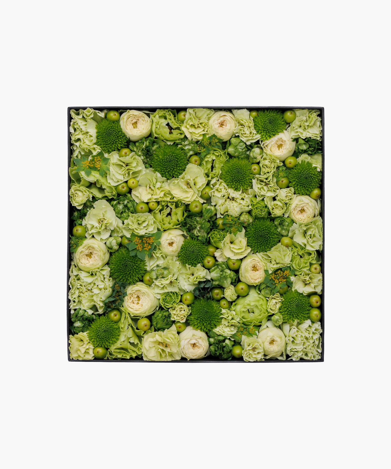 Garden Party (ガーデン パーティー)