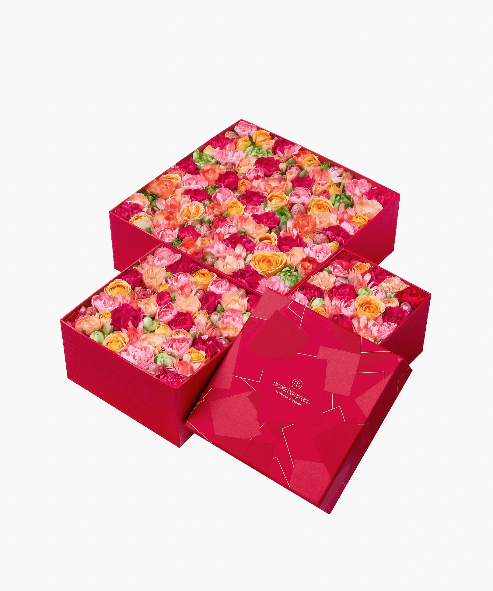 5/6着)Message in a box – Colorful Appreciation(メッセージ イン ア ボックス – カラフル アプリシエーション)