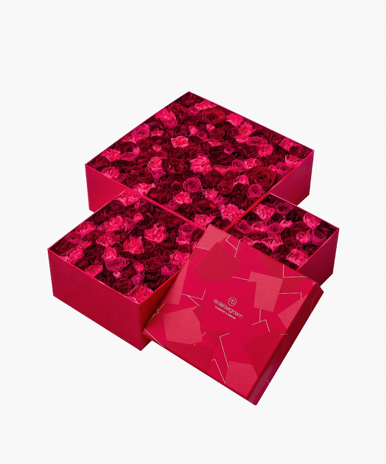 5/6着）Message in a box – Deep Gratitude（メッセージ イン ア