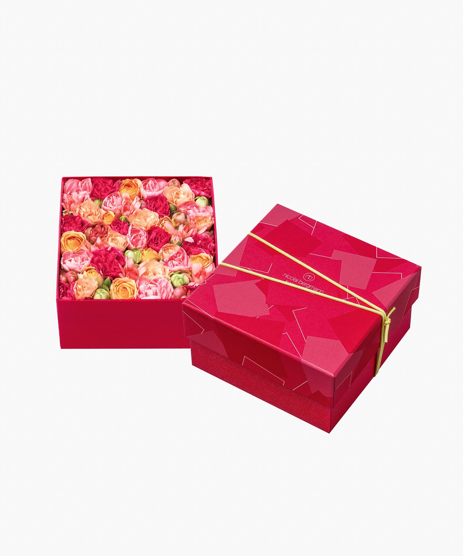 5/6着)Message in a box – Colorful Appreciation(メッセージ イン ア ボックス – カラフル アプリシエーション)