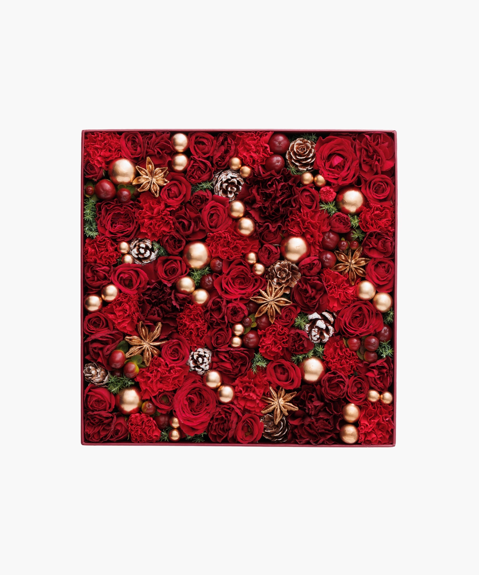 Snowlit Pines - red (スノーリット パインズ - レッド)