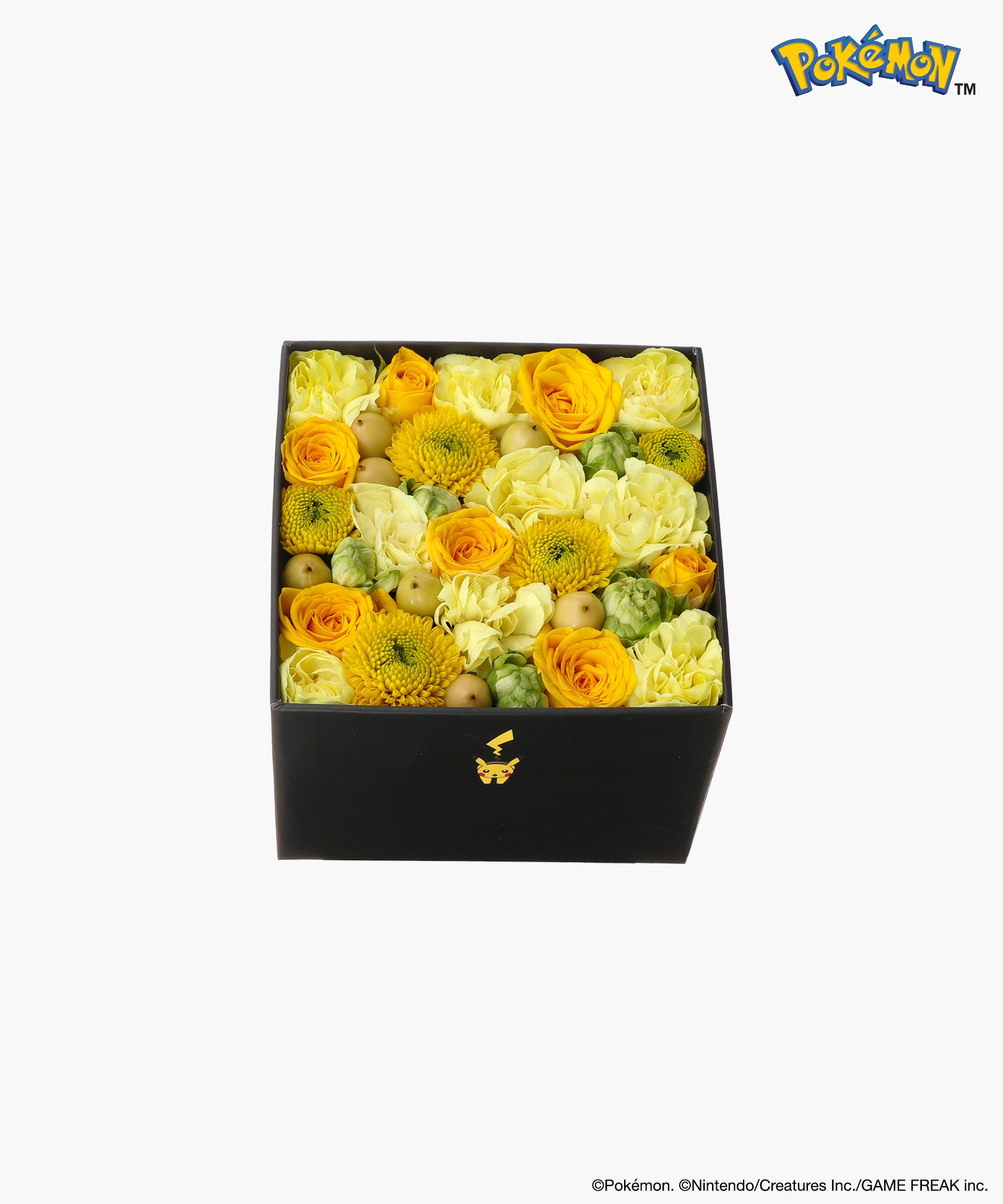 Nicolai Bergmann × Pokémon ピカチュウ