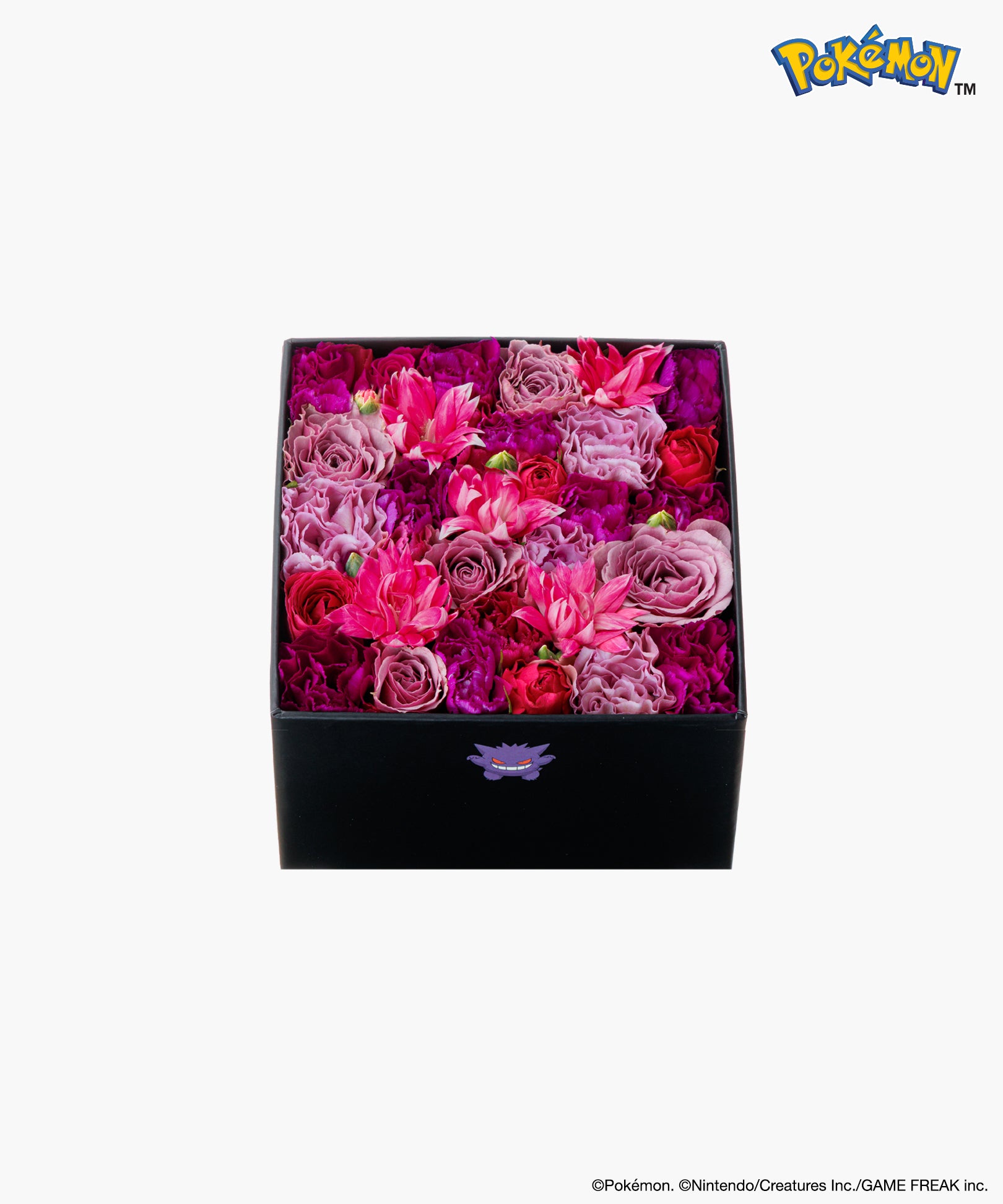 Nicolai Bergmann × Pokémon ゲンガー