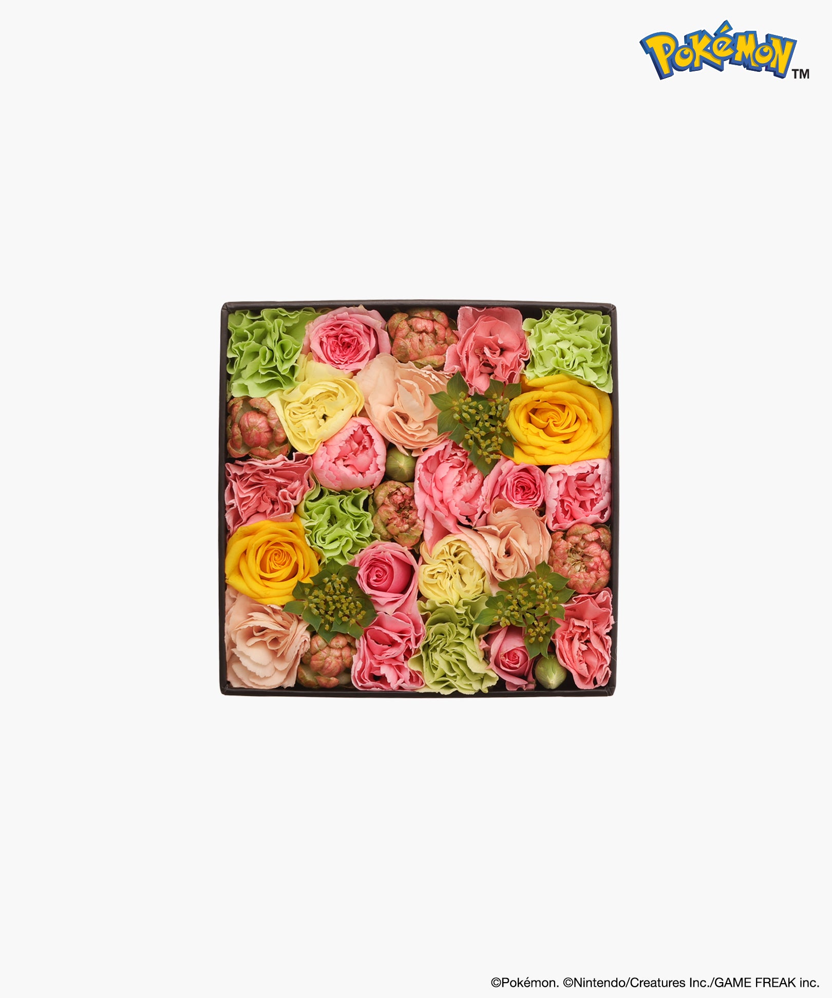 Nicolai Bergmann × Pokémon イーブイ