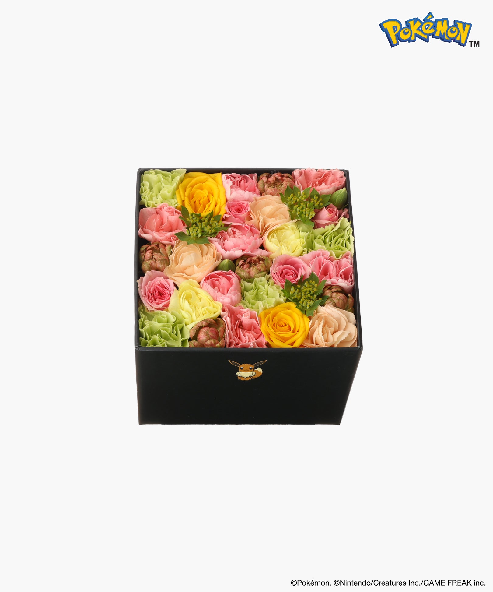 Nicolai Bergmann × Pokémon イーブイ