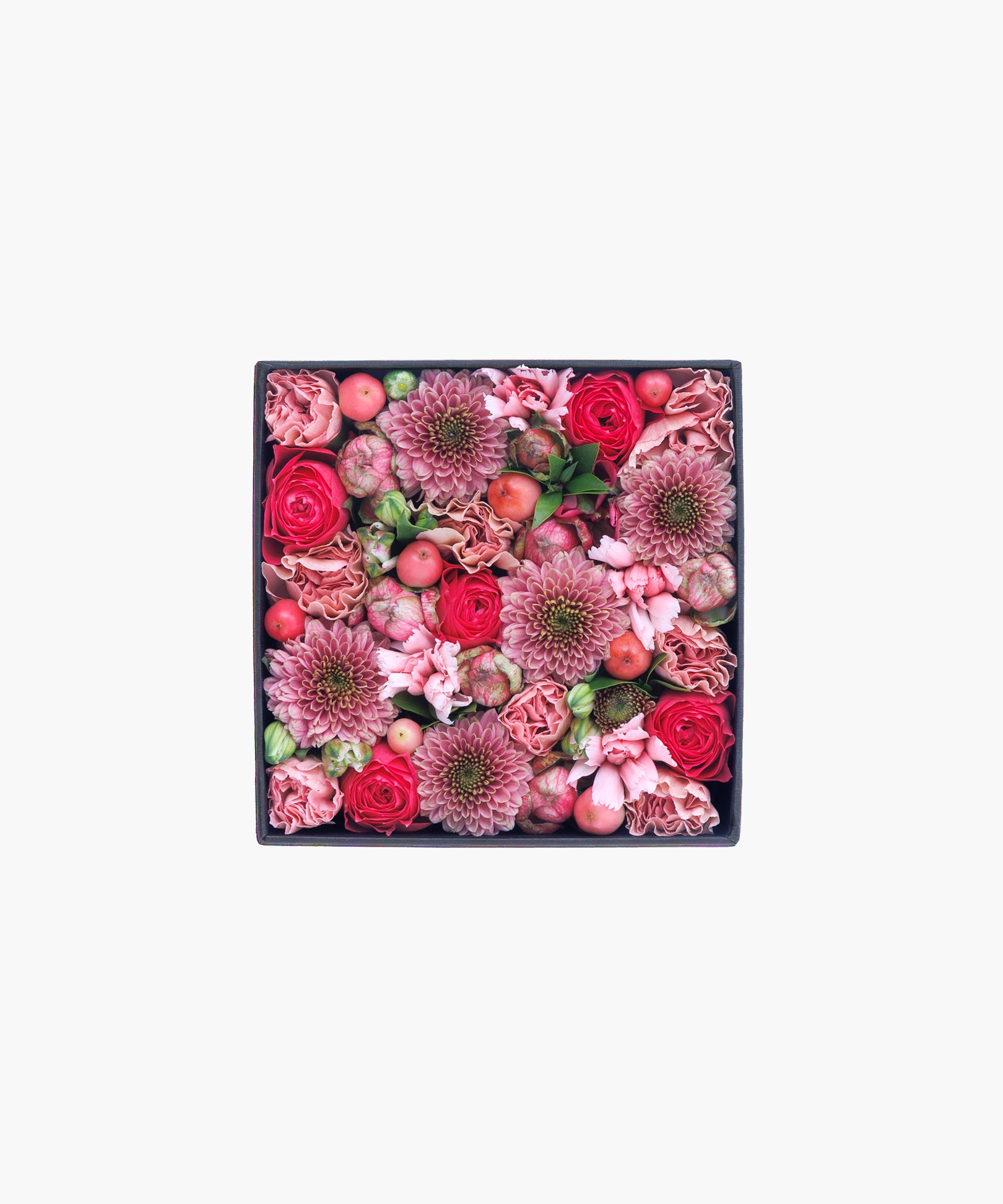 Tender Spring (テンダー スプリング)