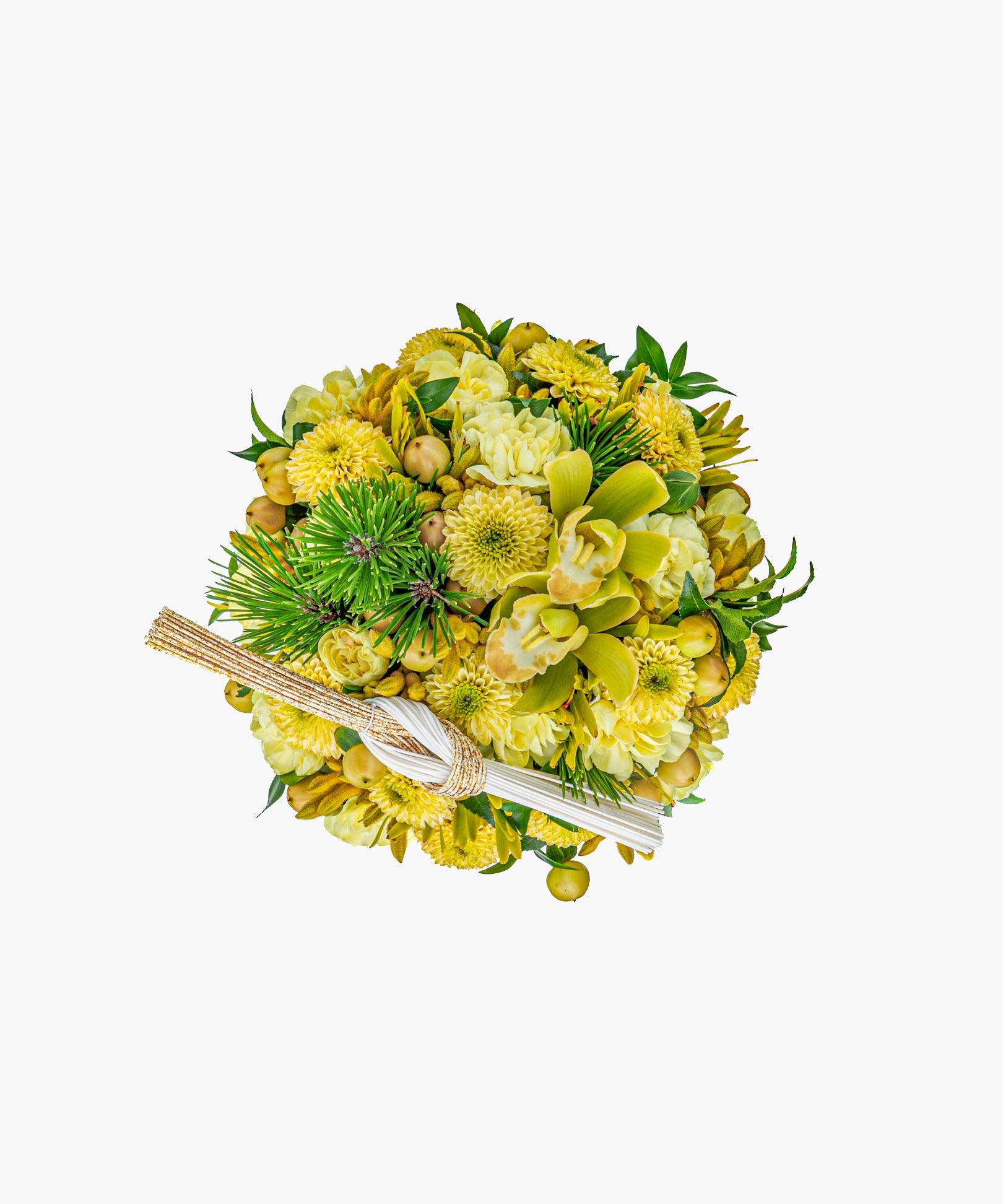 New Year Cube - Kogane(ニューイヤーキューブ - コガネ)