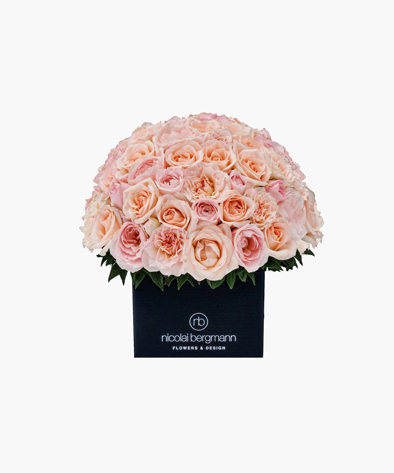 Purity Roses