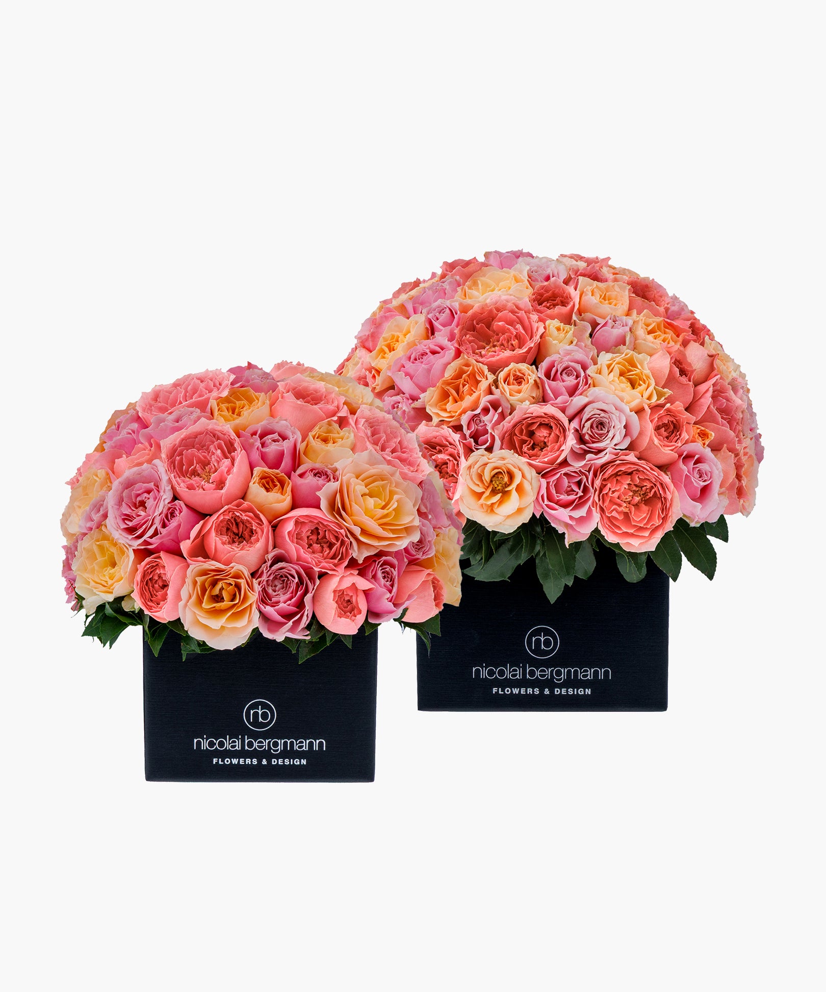 Sunset Roses