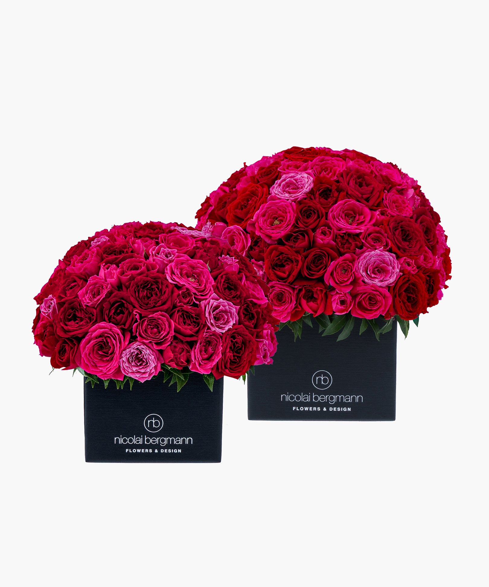 Crimson Roses