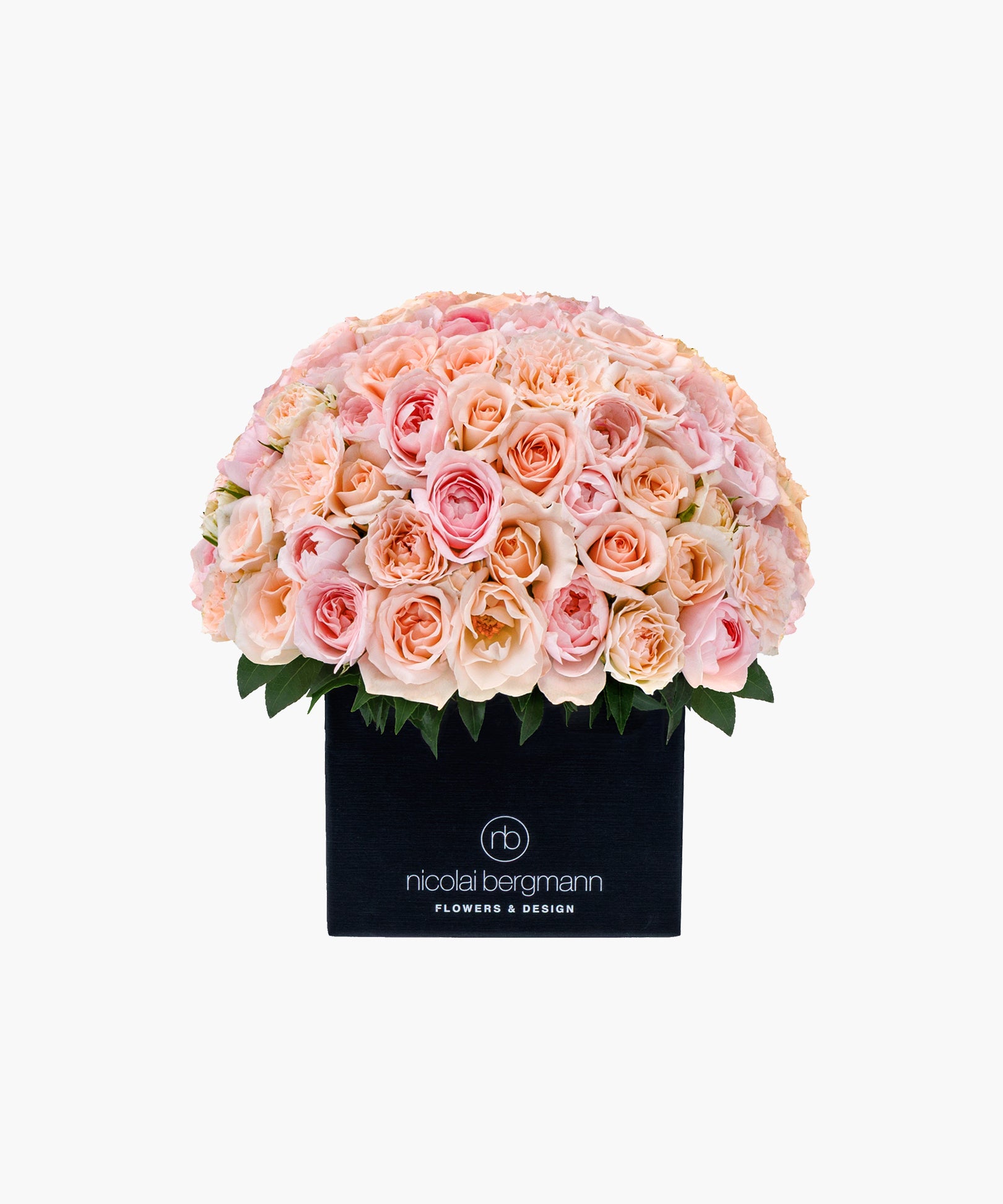 Purity Roses