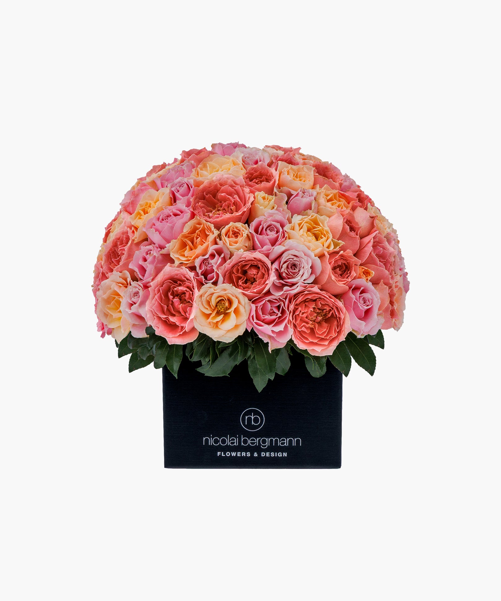 Sunset Roses