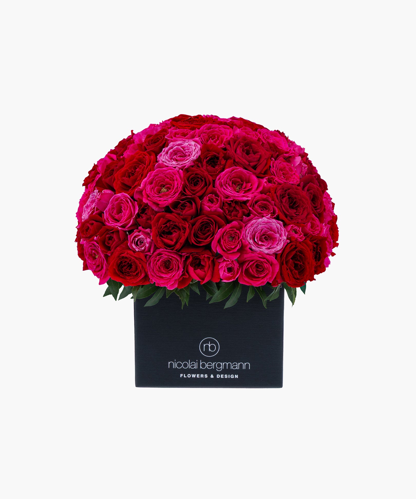 Crimson Roses