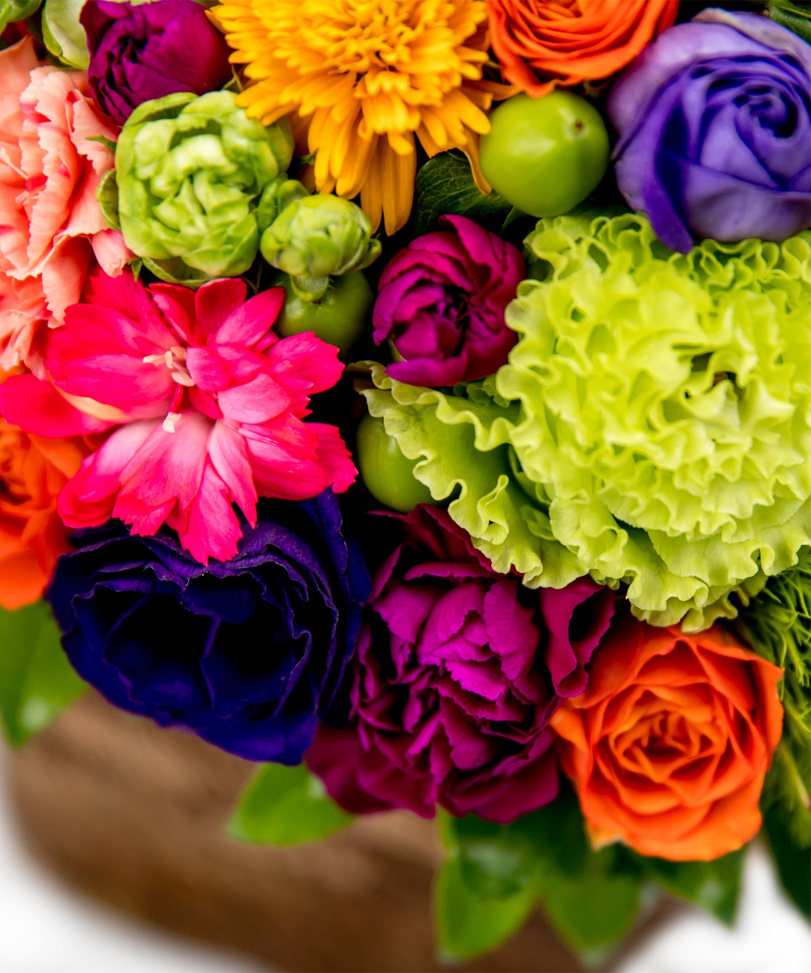 Color Pop