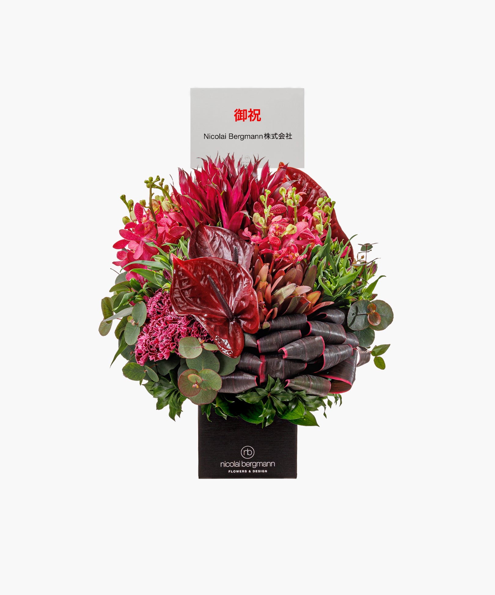 The Carnival(ザ カーニバル)