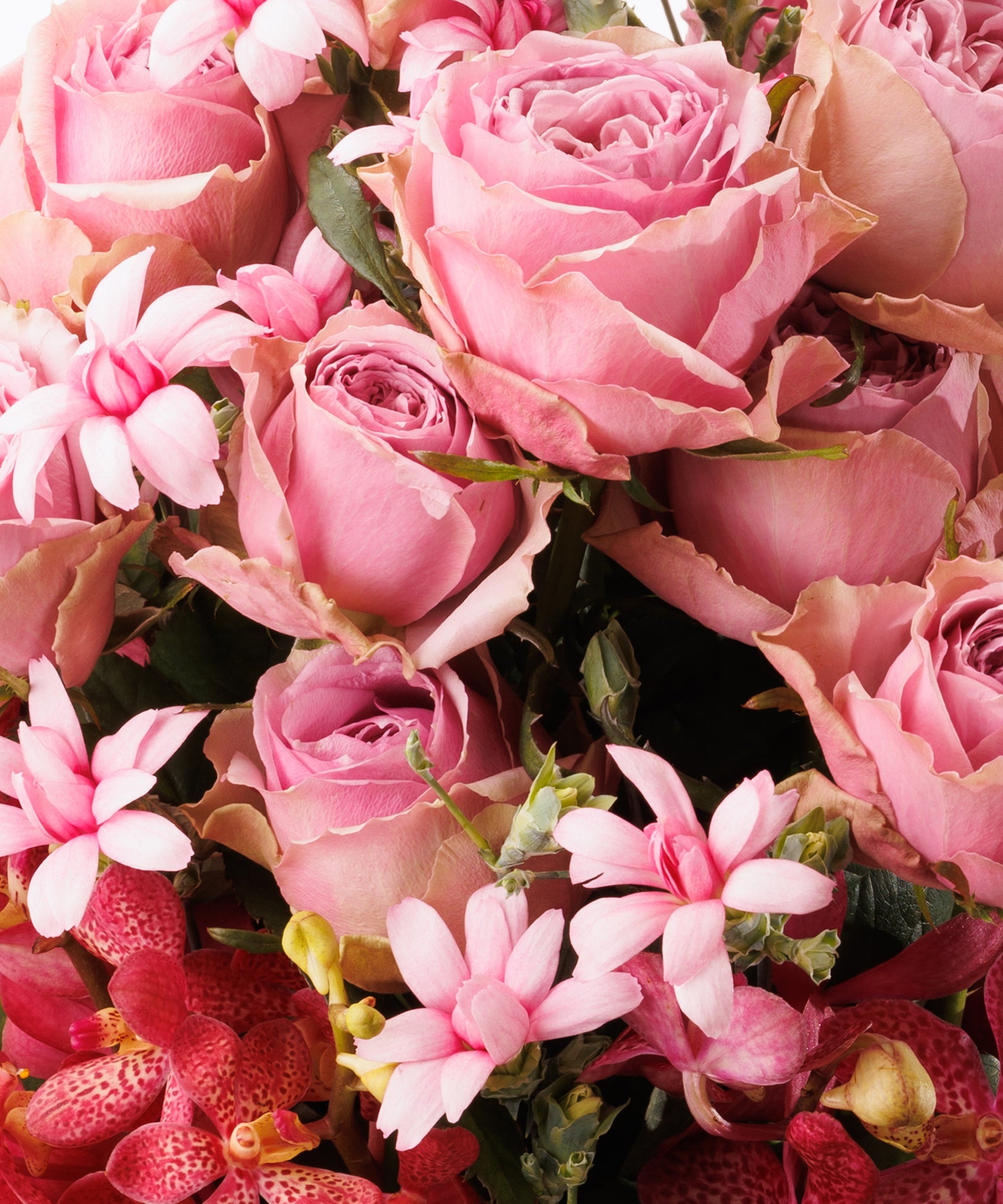 Fountain of Beauty