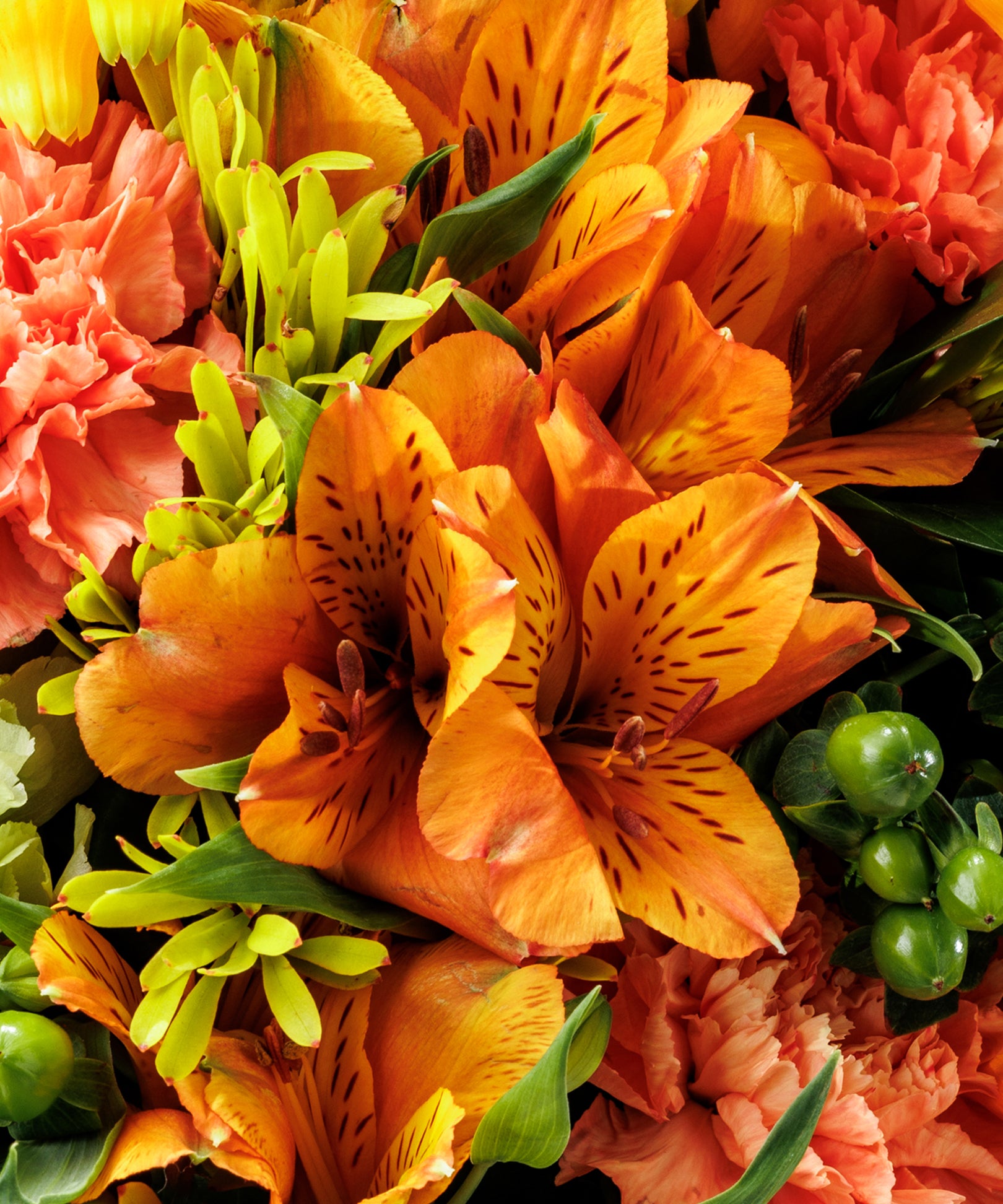 Cheerful Orange