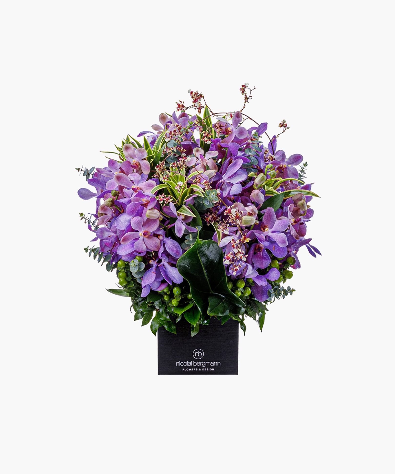 Chic Orchid