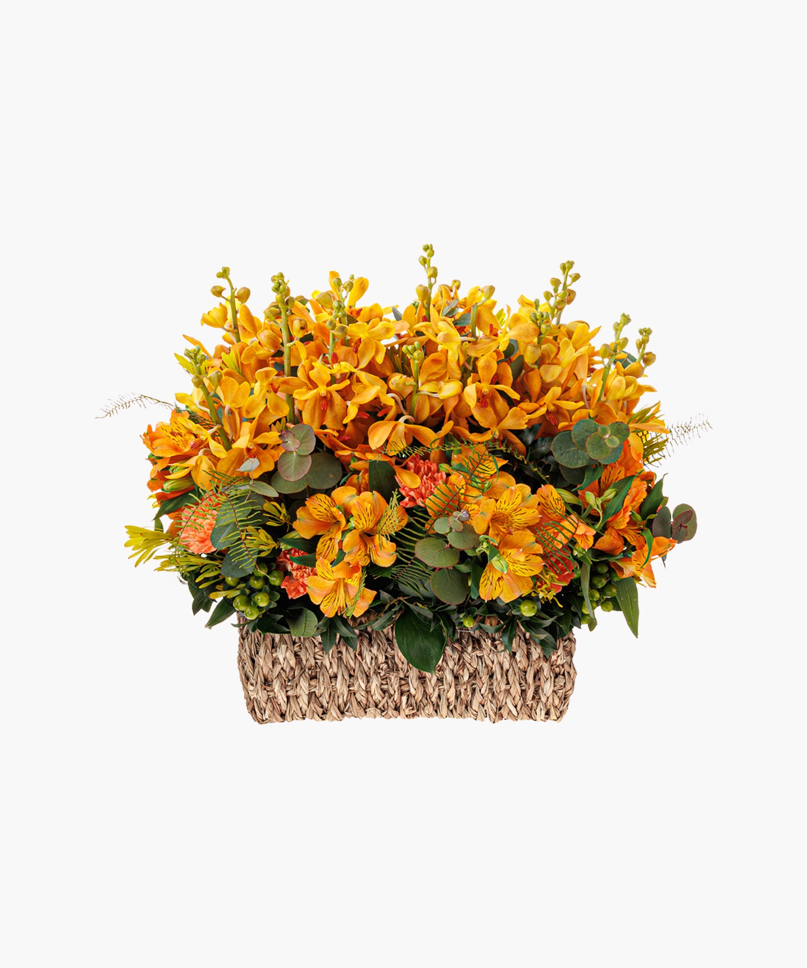 Lively Blooms