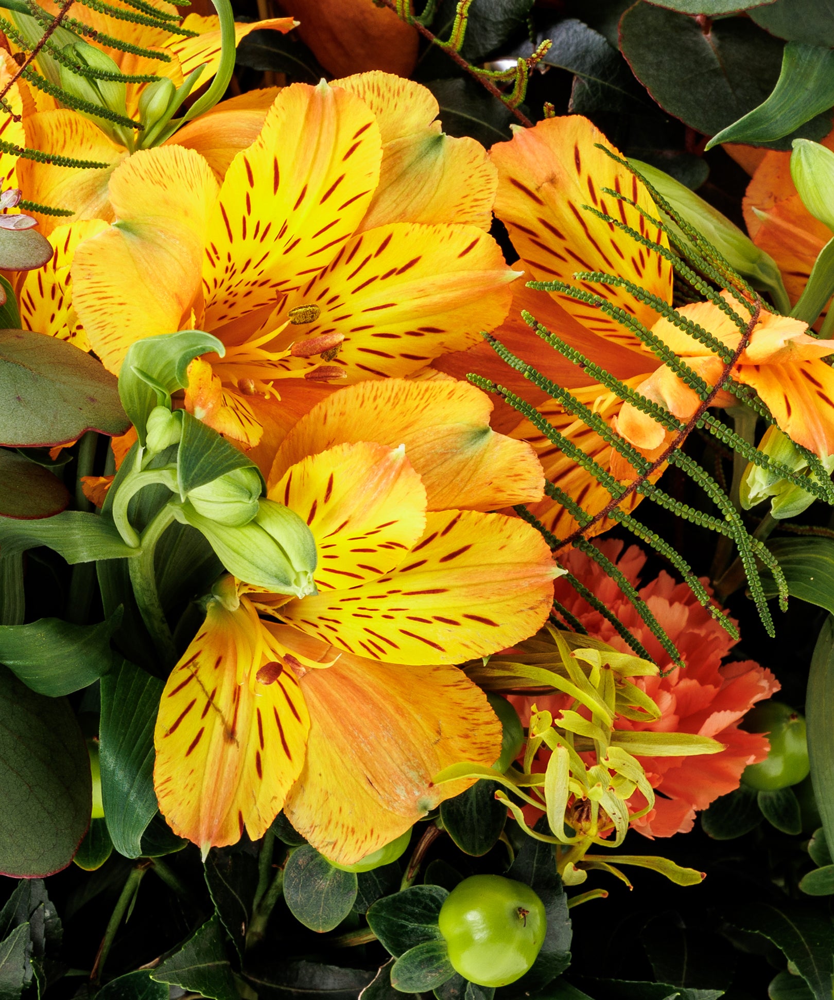 Lively Blooms