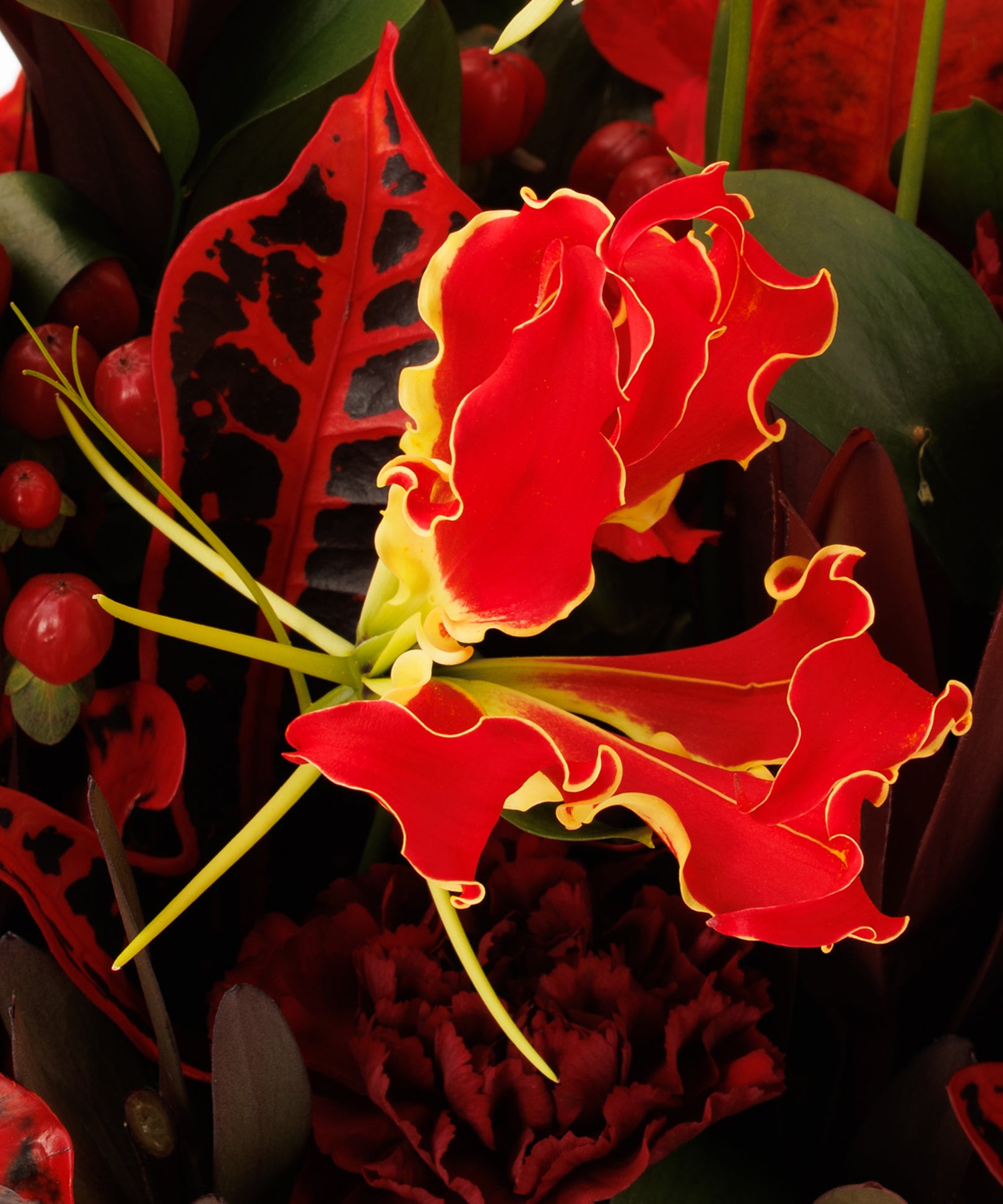 Glorious Red