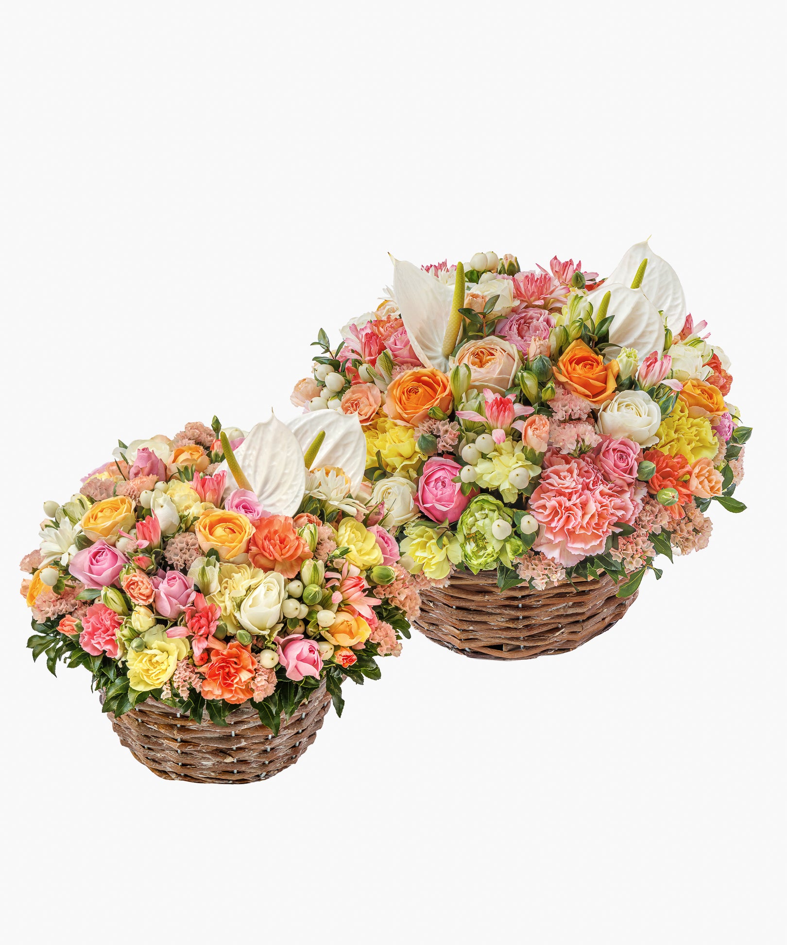 Arrives 5/7)Floral Accord