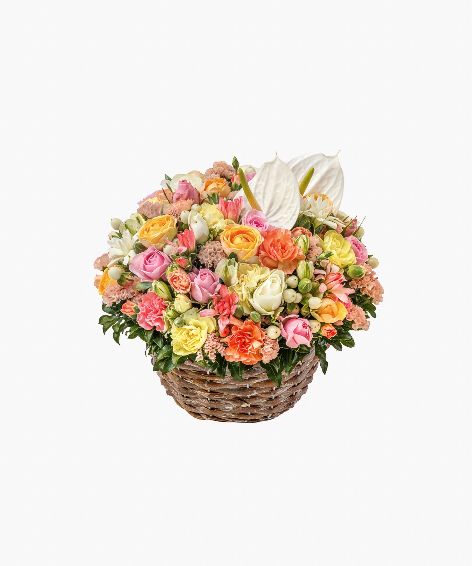 Arrives 5/7)Floral Accord