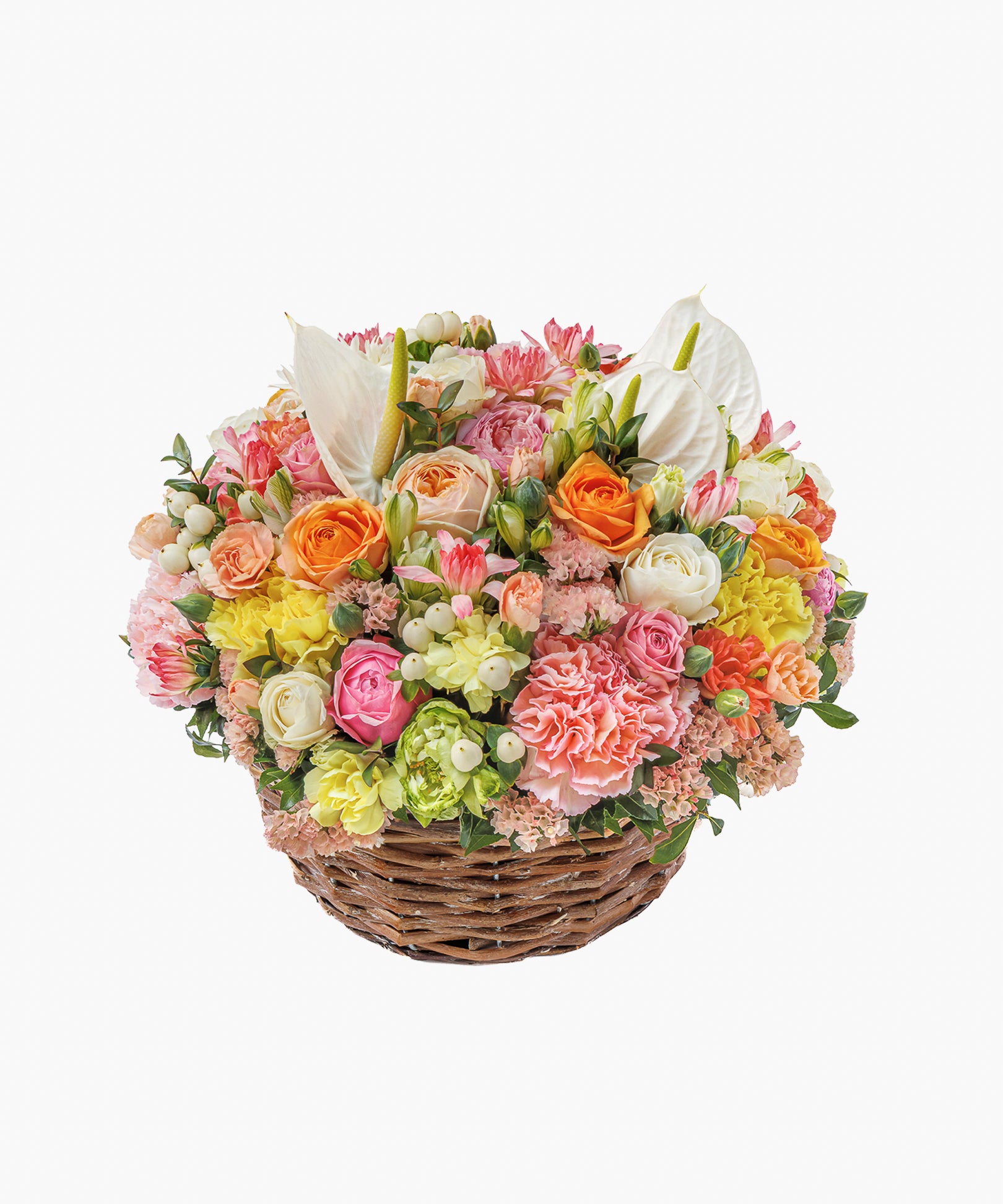 Arrives 5/7)Floral Accord