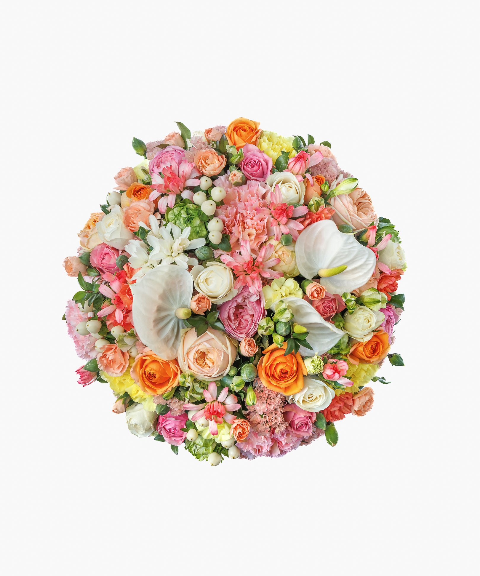 Arrives 5/7)Floral Accord