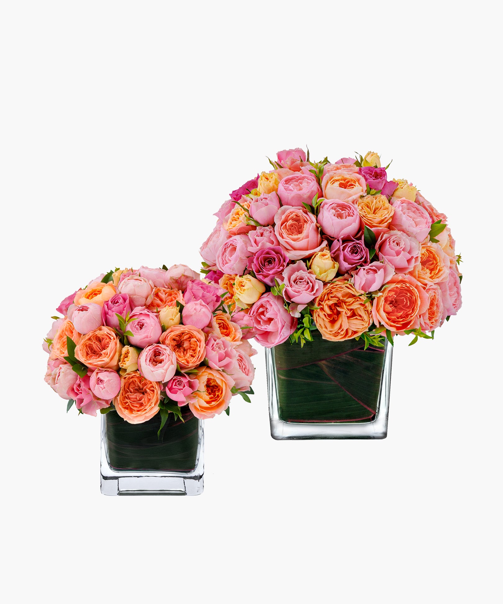 Mellow Roses