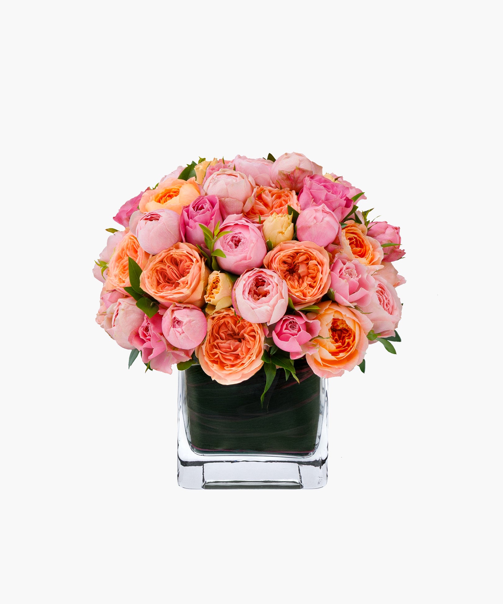 Mellow Roses