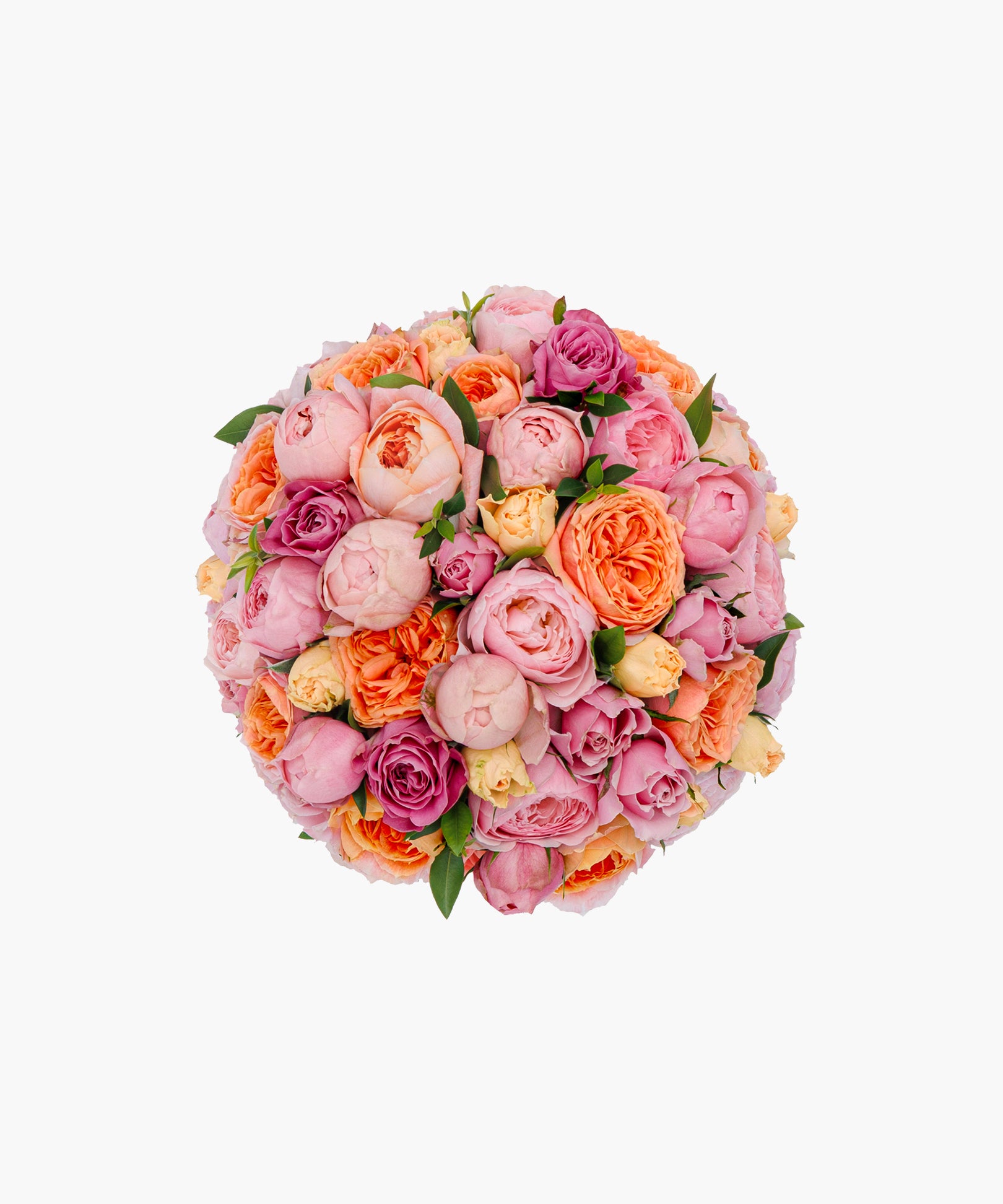 Mellow Roses