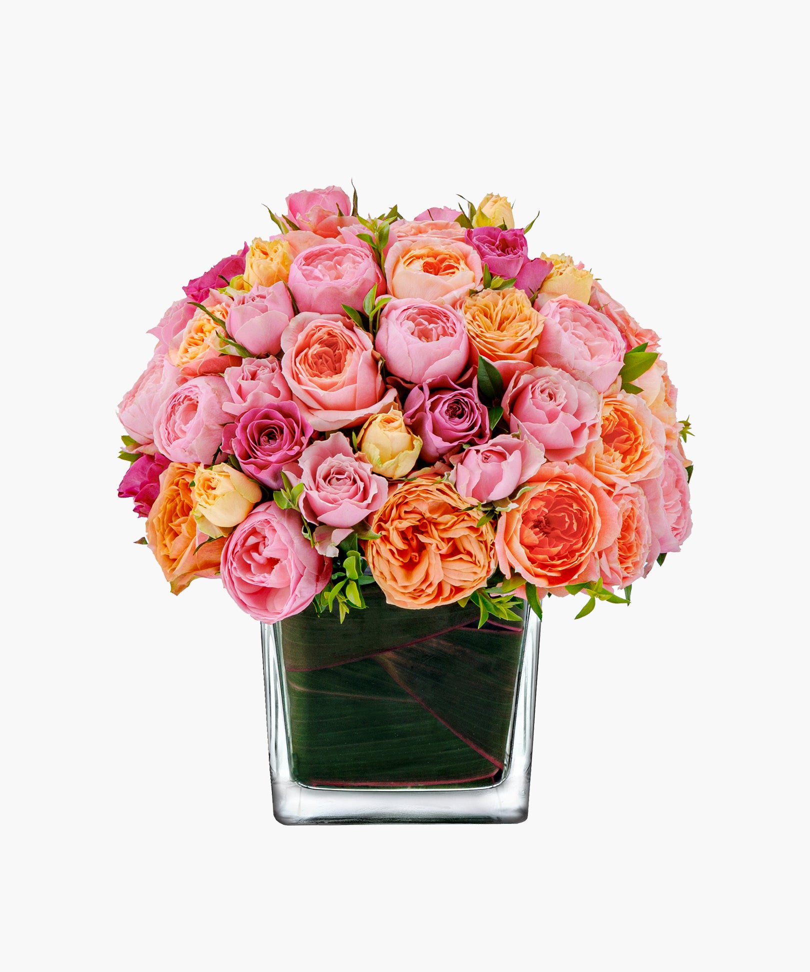 Mellow Roses