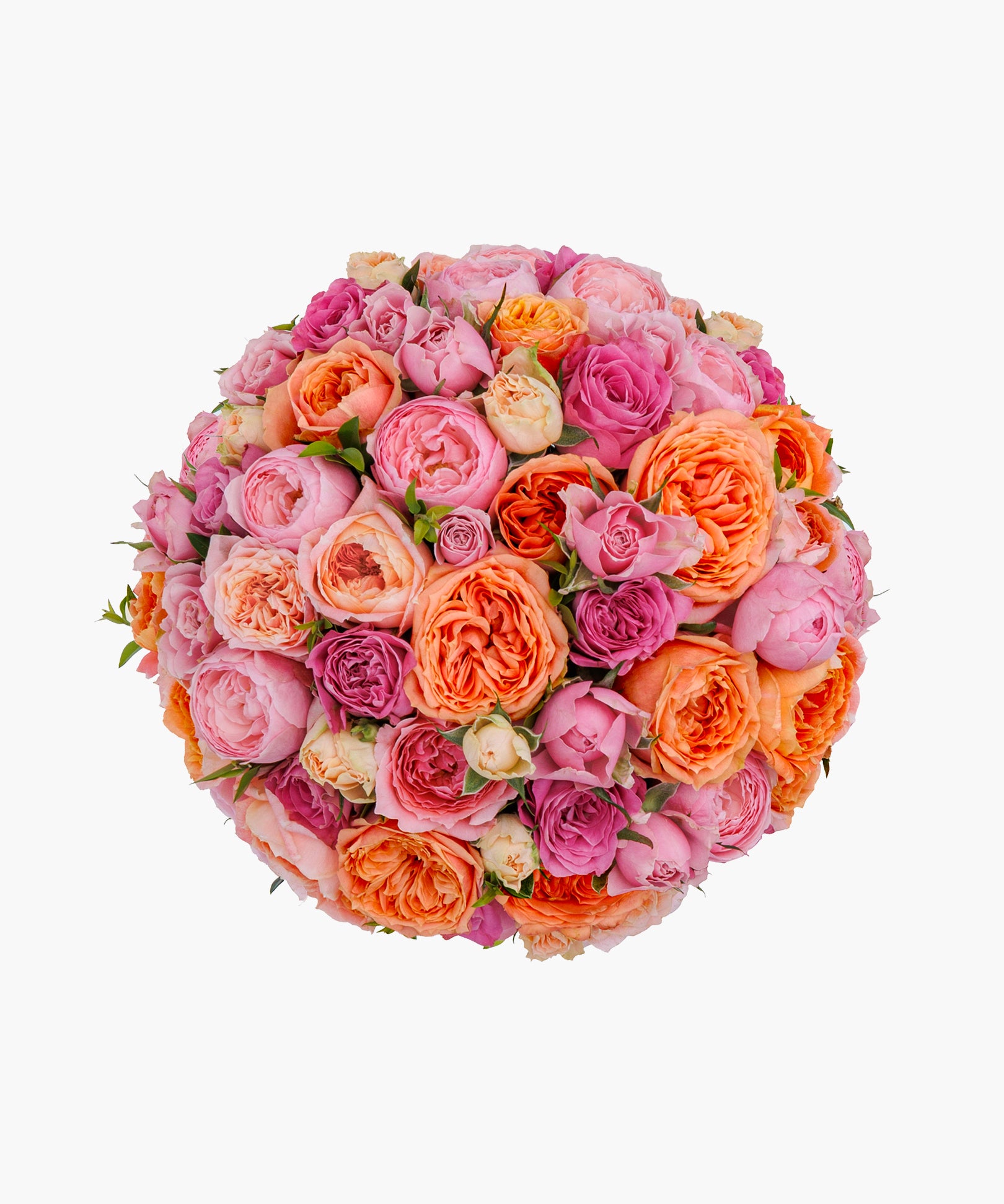 Mellow Roses