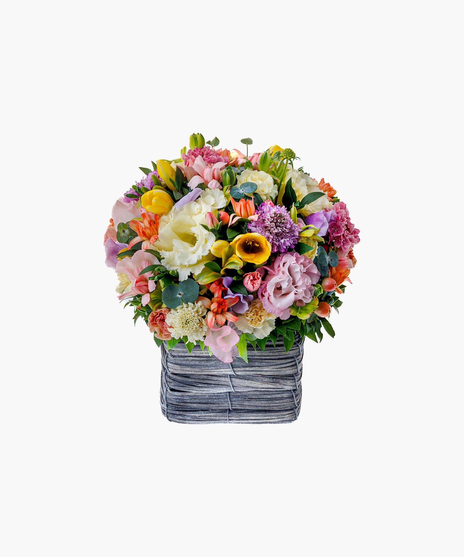 Pastel Palette (パステル パレット)