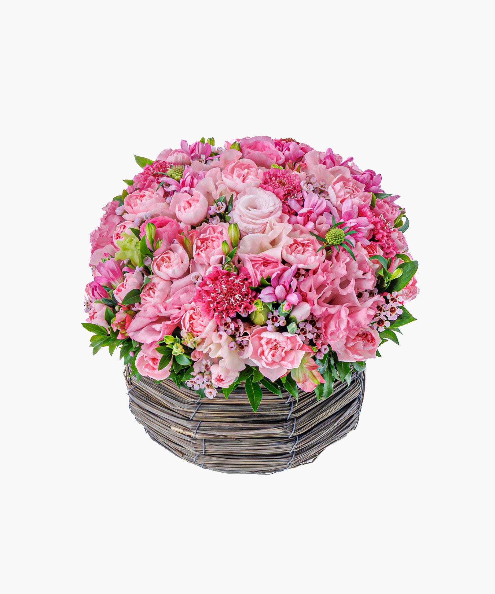 Tender Harmony (テンダー ハーモニー)