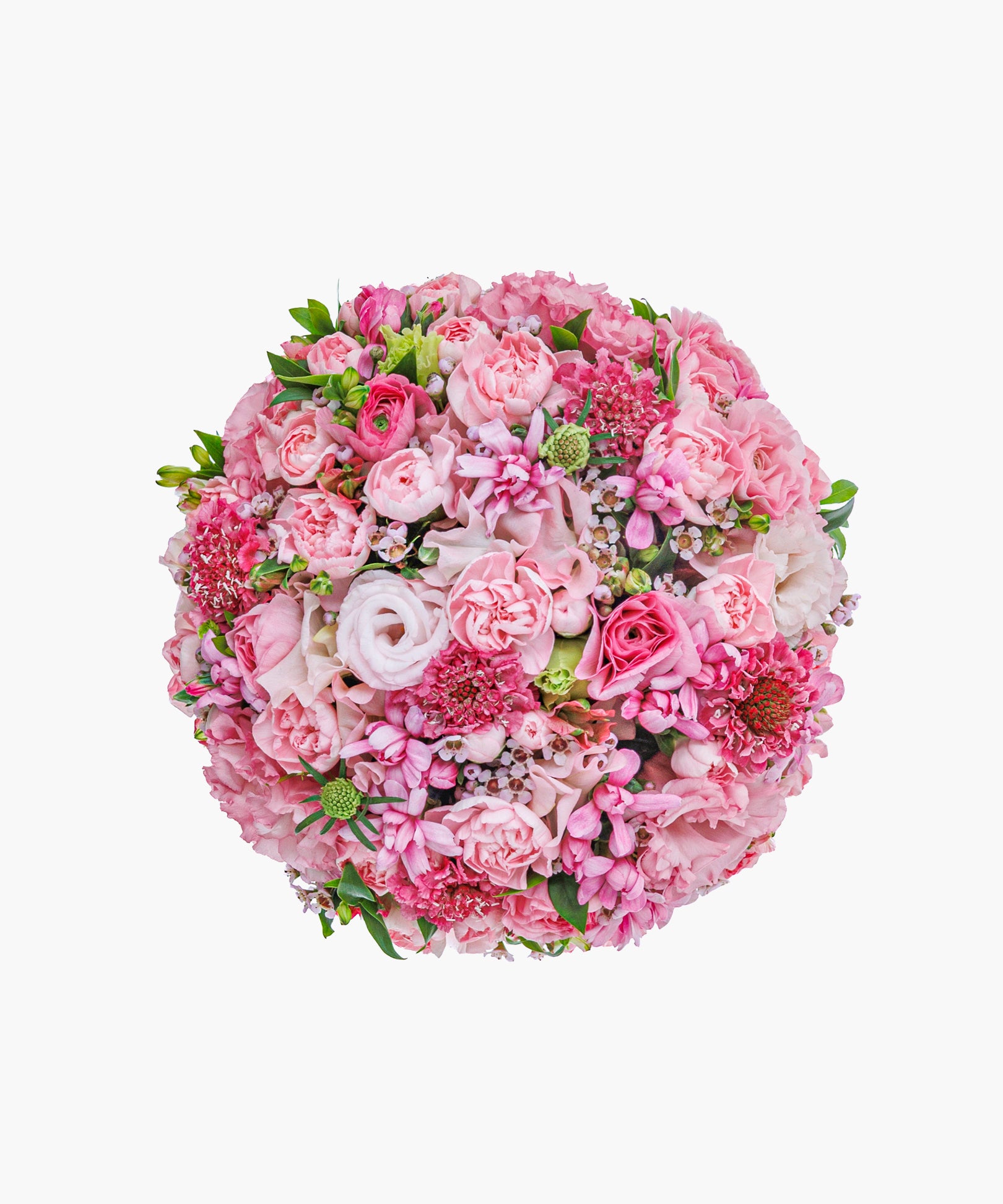 Tender Harmony (テンダー ハーモニー)