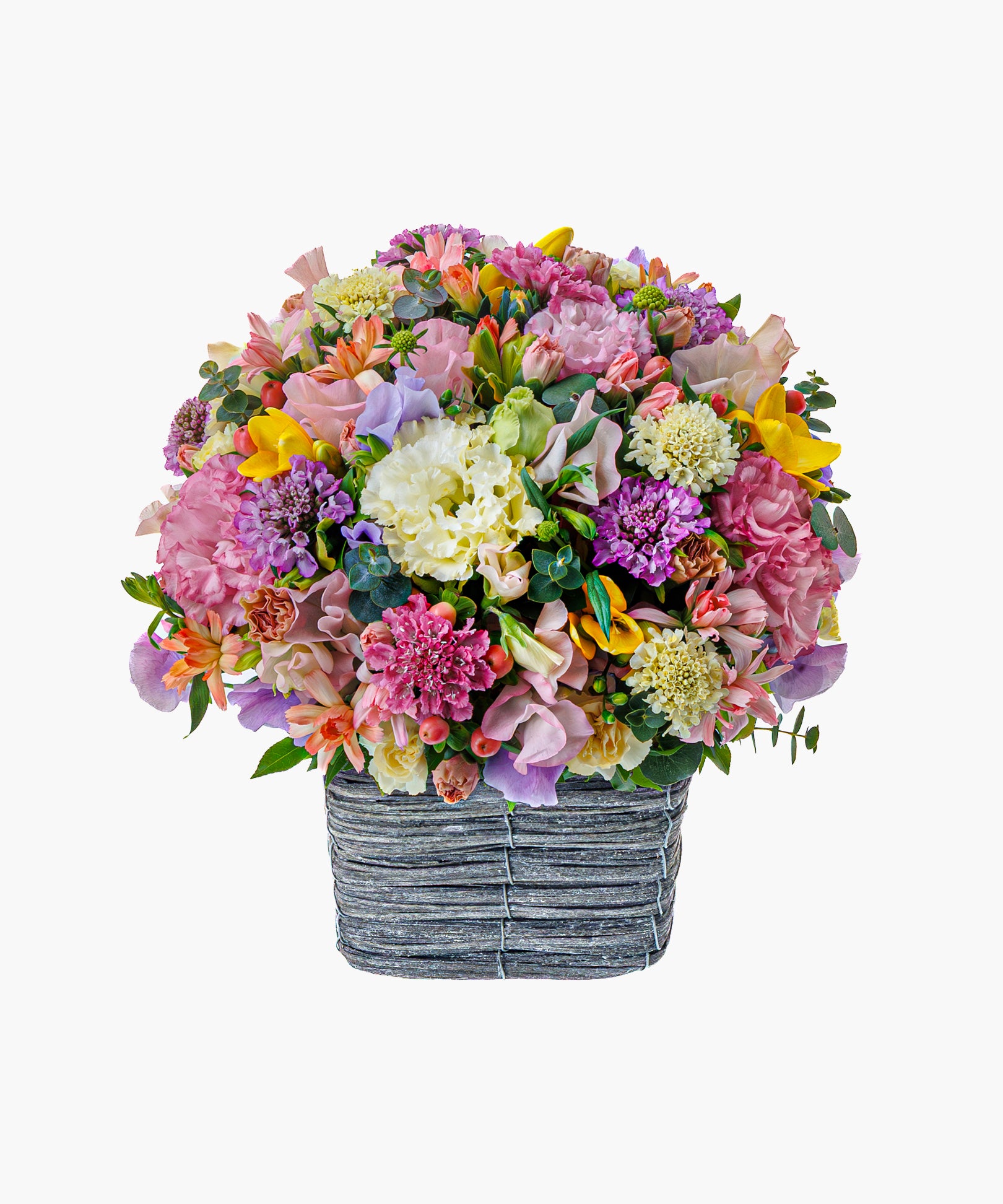 Pastel Palette (パステル パレット)