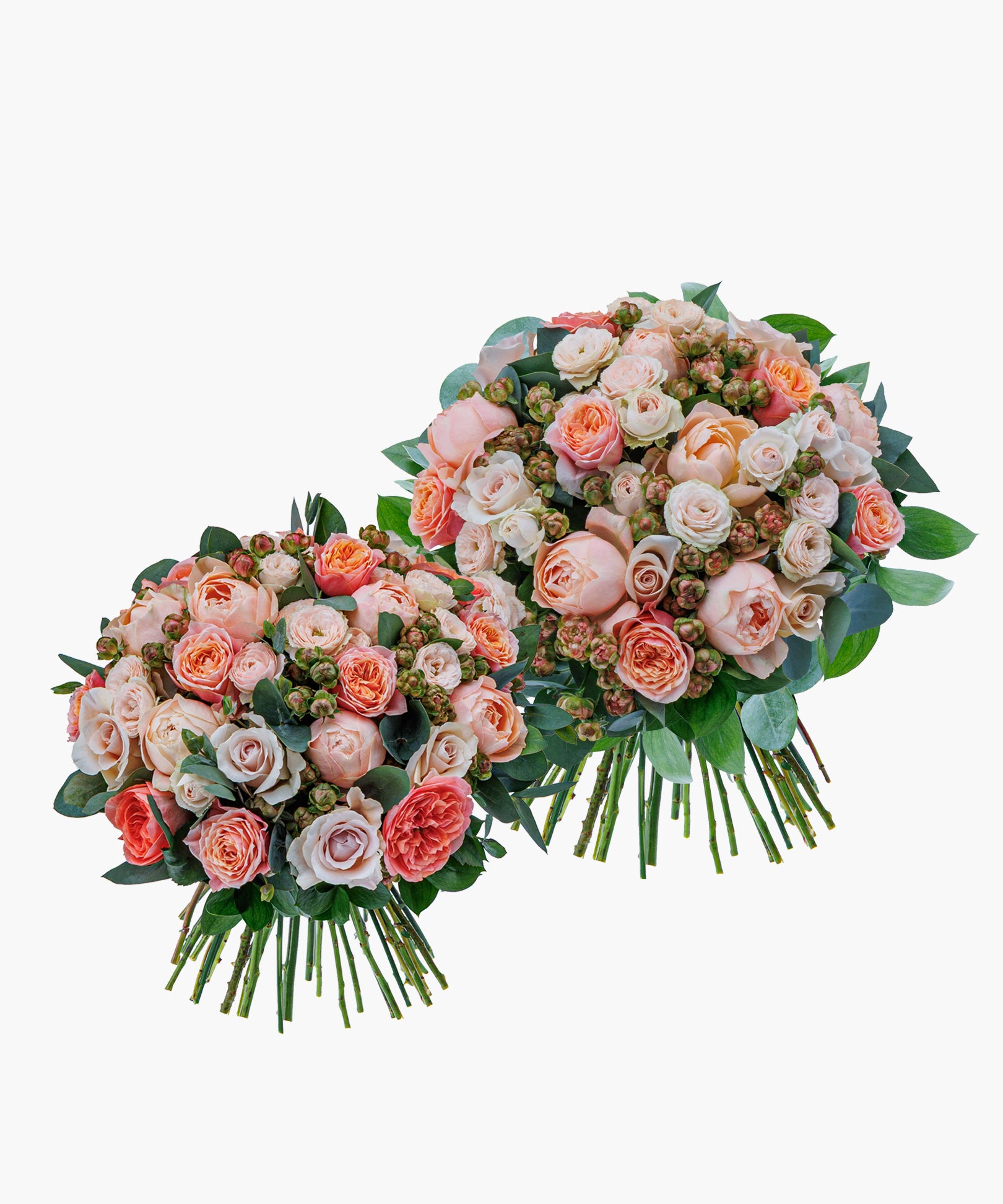 Champagne Roses